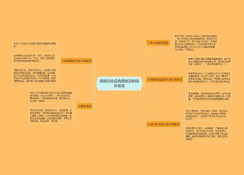 肾病综合征病理类型和临床表现