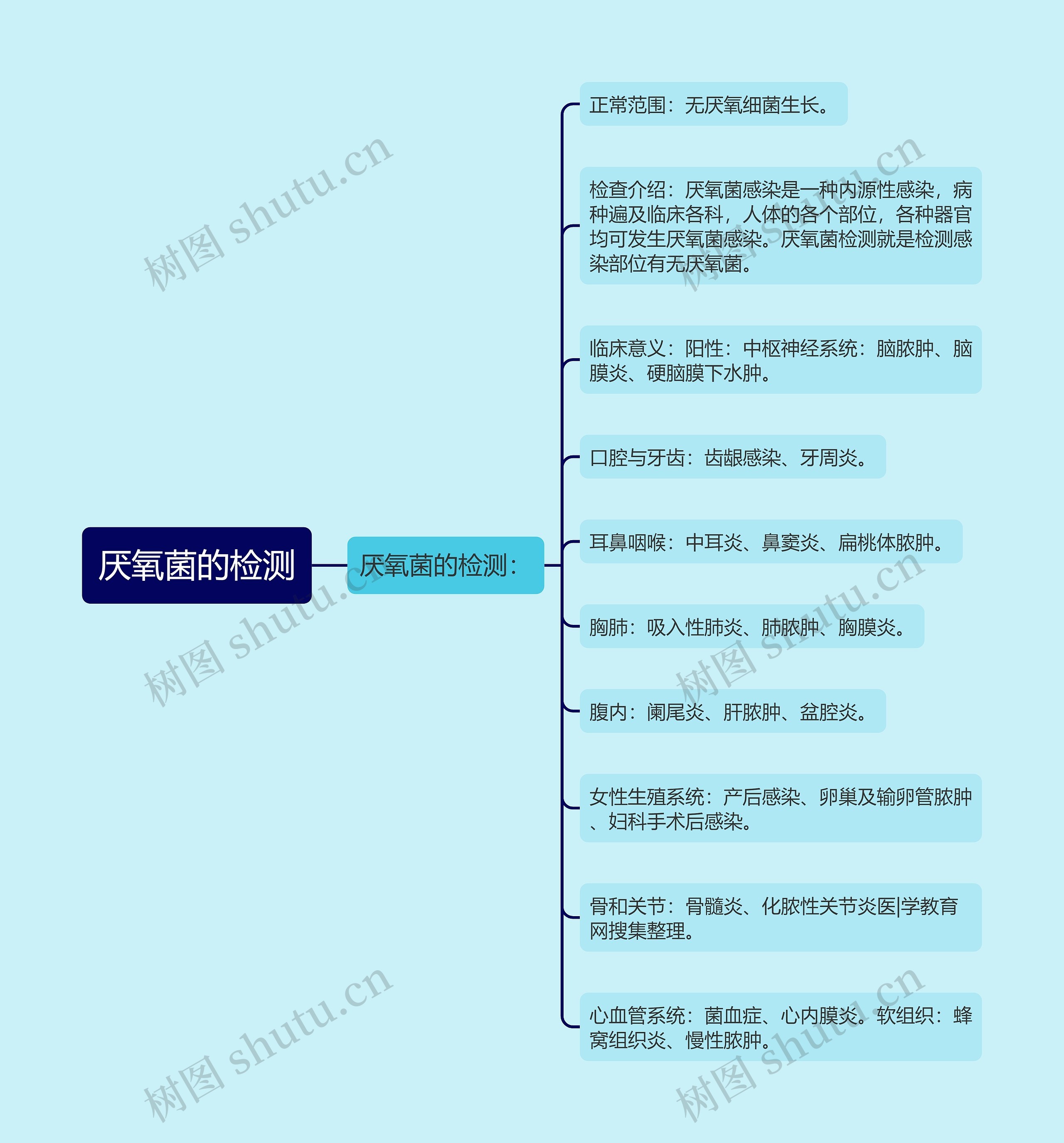 厌氧菌的检测思维导图