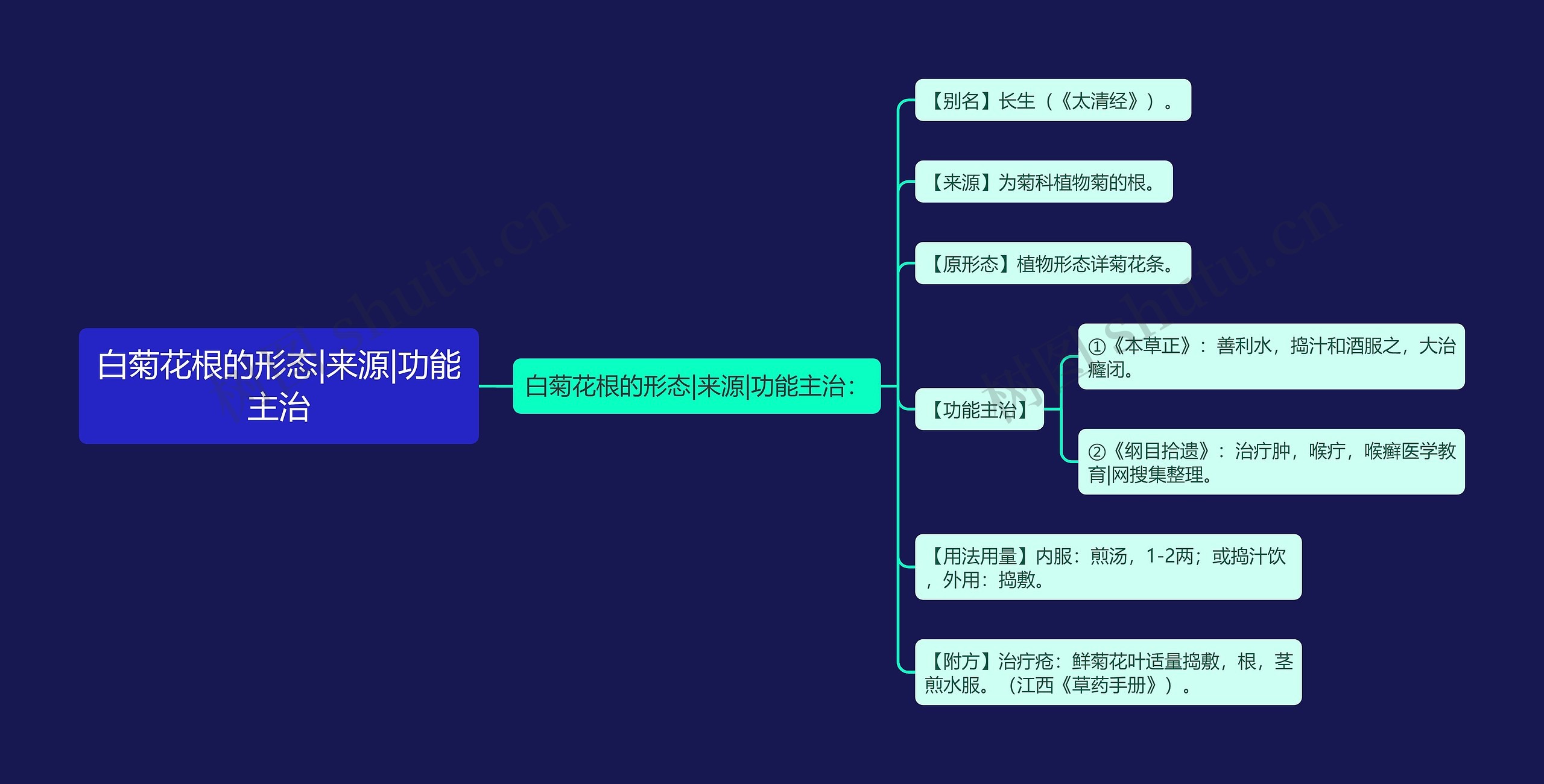 白菊花根的形态|来源|功能主治思维导图