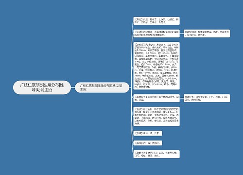 广枝仁原形态|生境分布|性味|功能主治