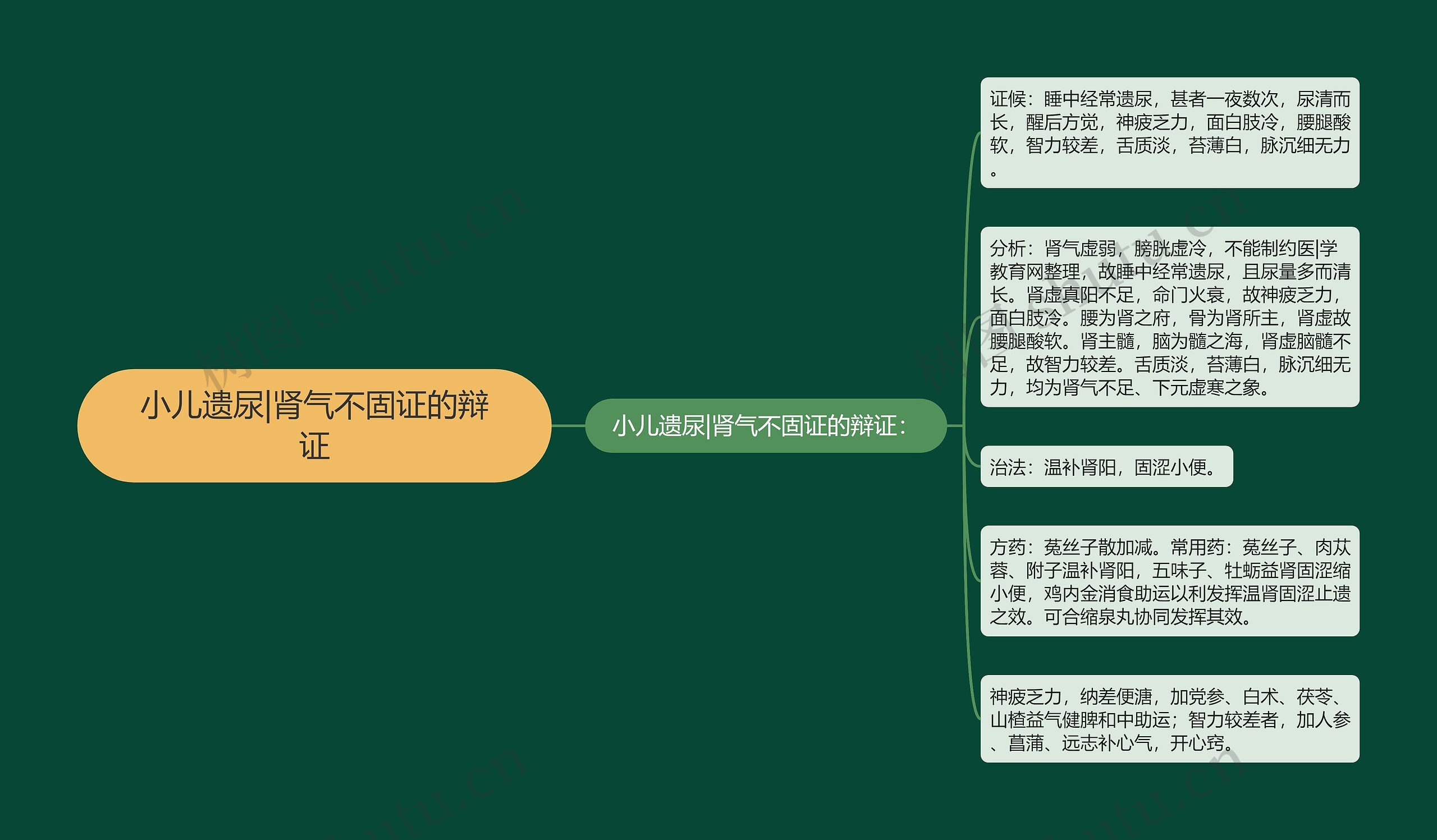 小儿遗尿|肾气不固证的辩证 小儿遗尿|肾气不固证的辩证