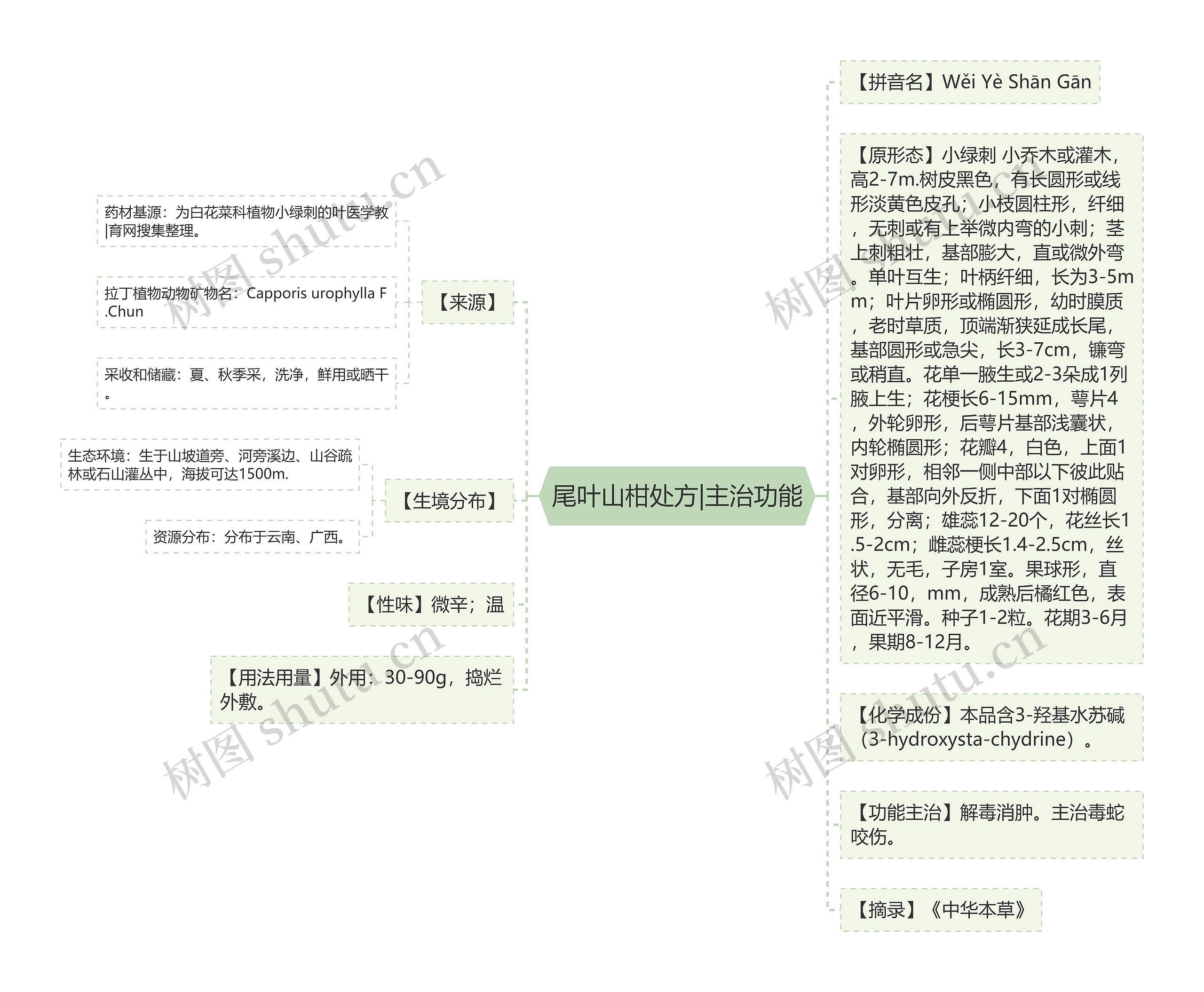 尾叶山柑处方|主治功能思维导图