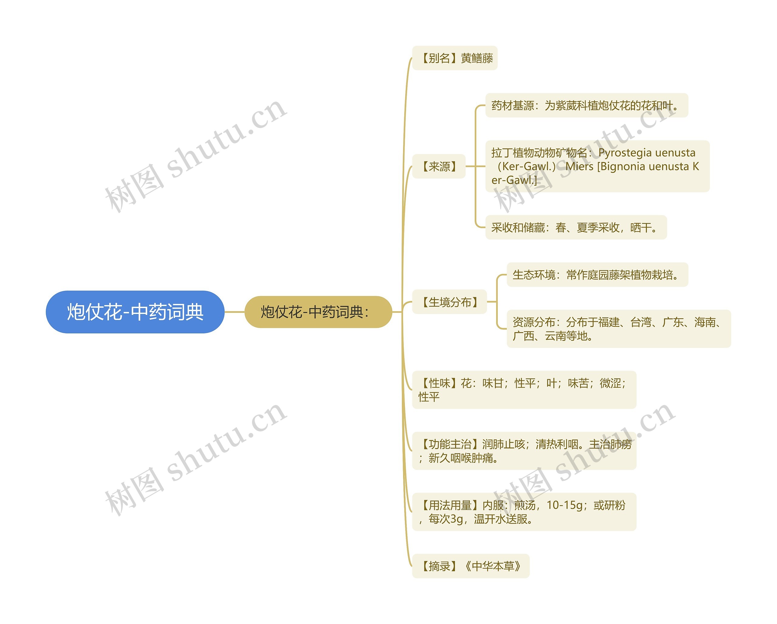 炮仗花-中药词典 炮仗花-中药词典