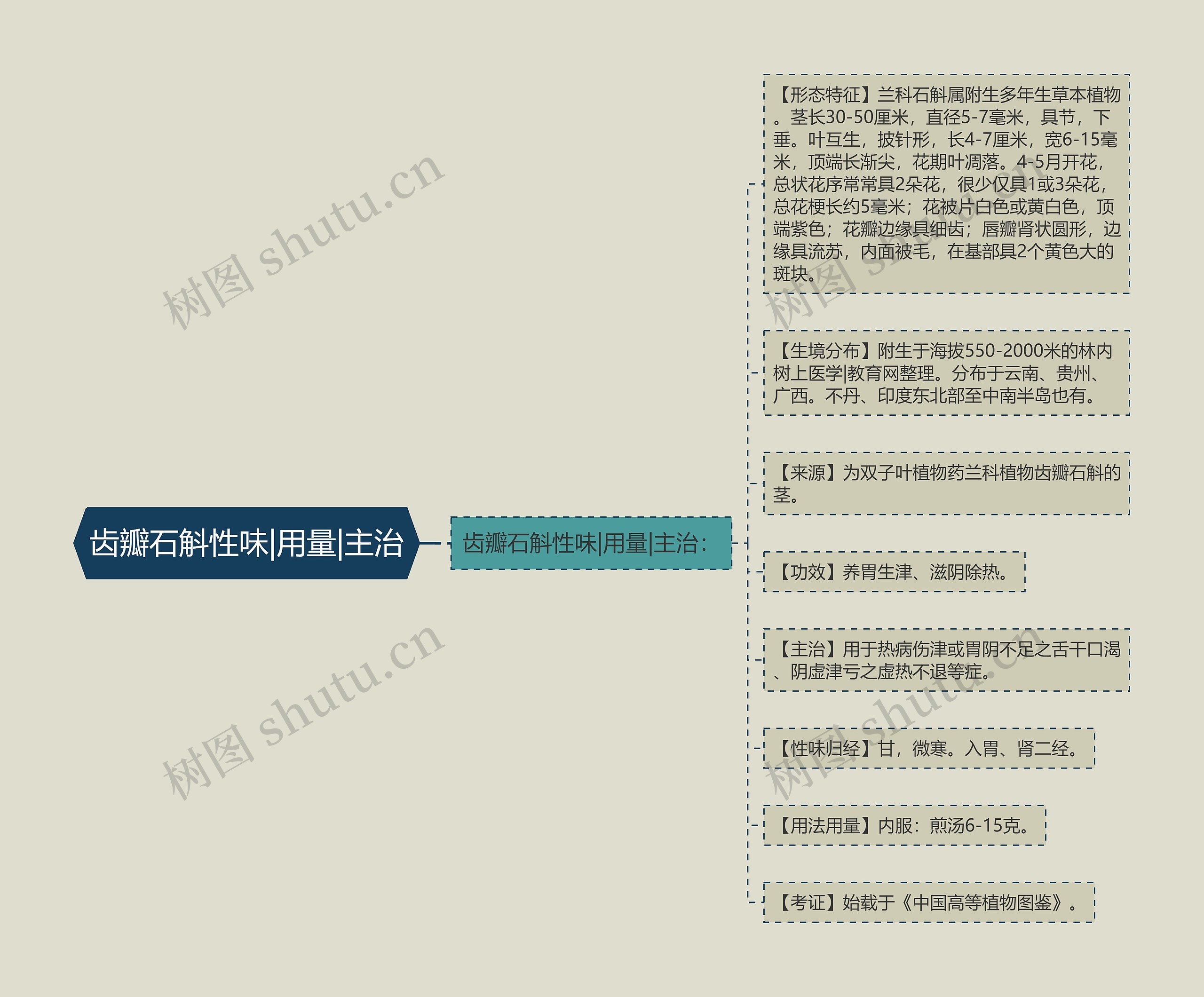 齿瓣石斛性味|用量|主治