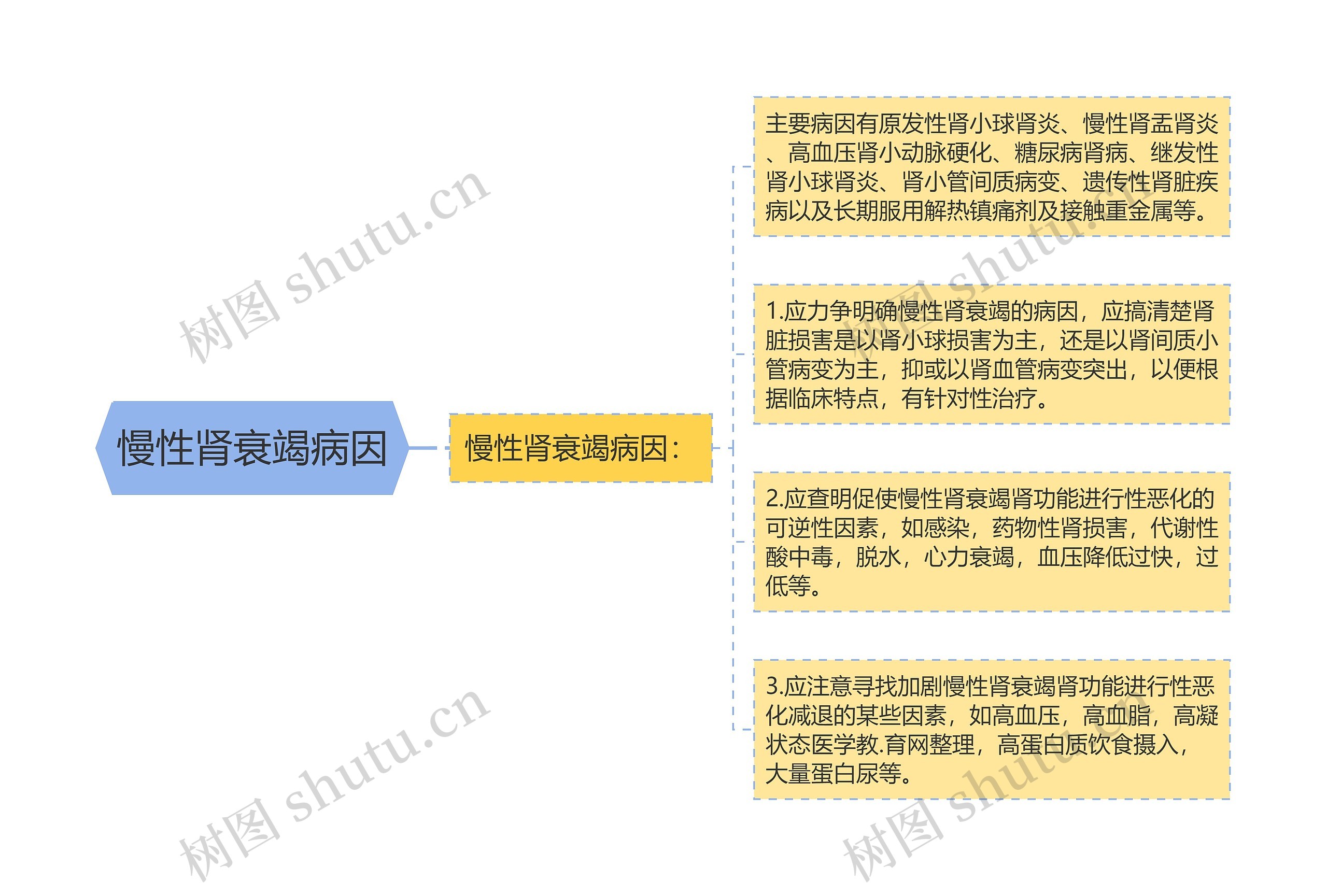 慢性肾衰竭病因思维导图