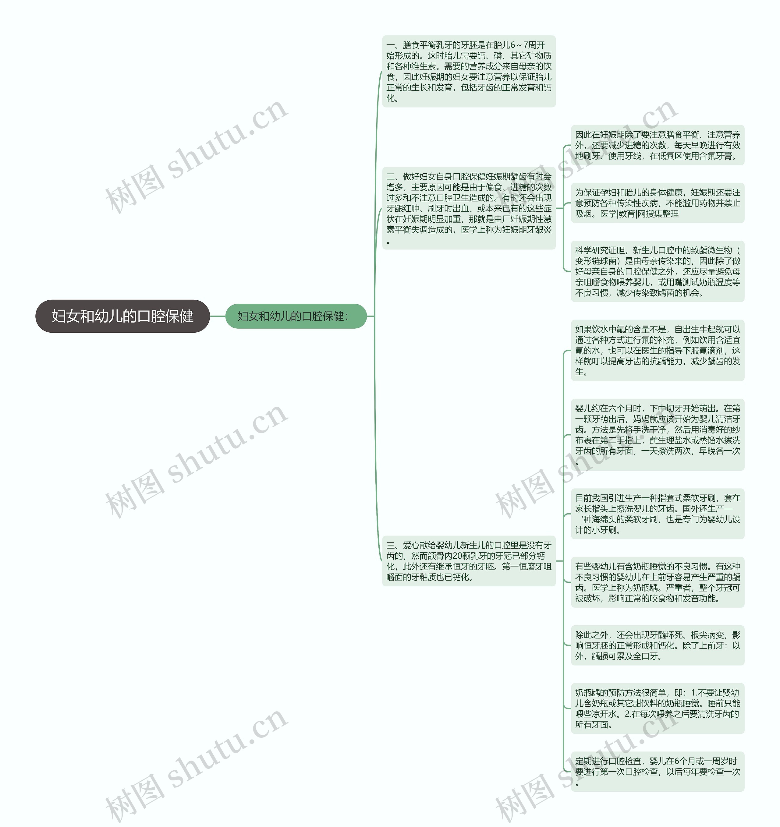 妇女和幼儿的口腔保健 妇女和幼儿的口腔保健