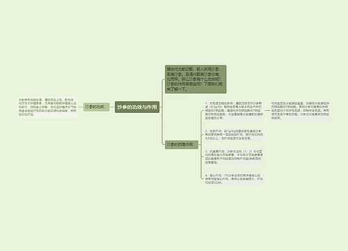 沙参的功效与作用