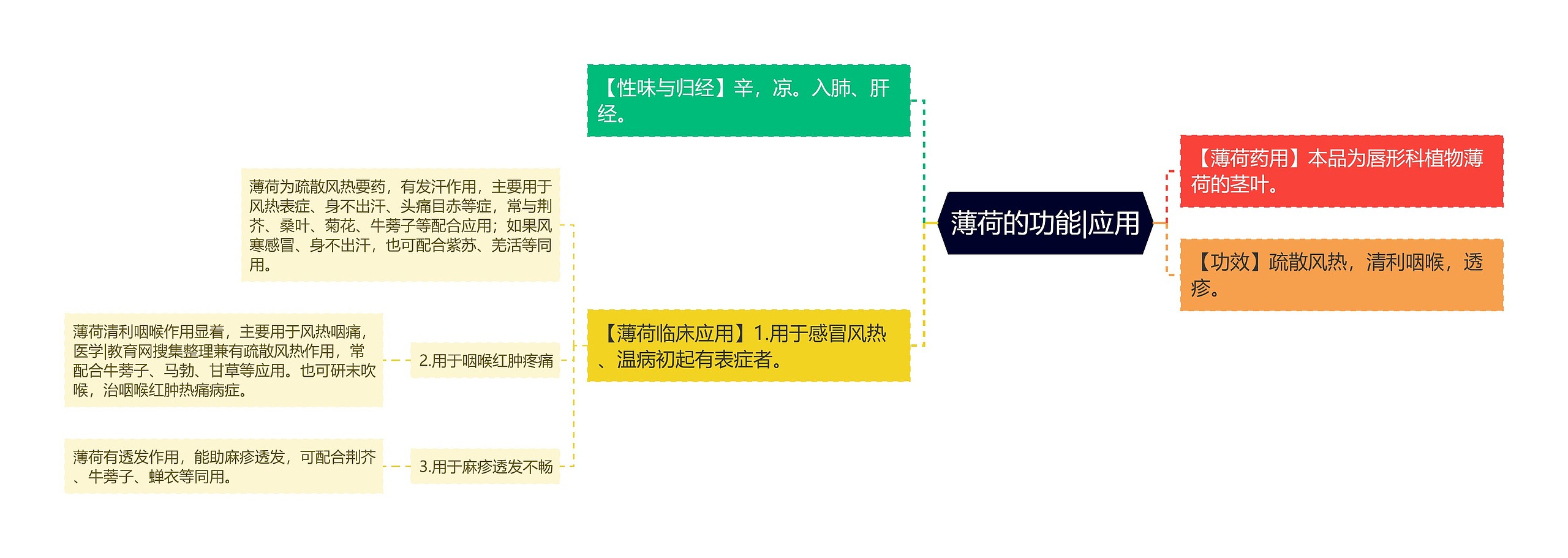 薄荷的功能|应用思维导图