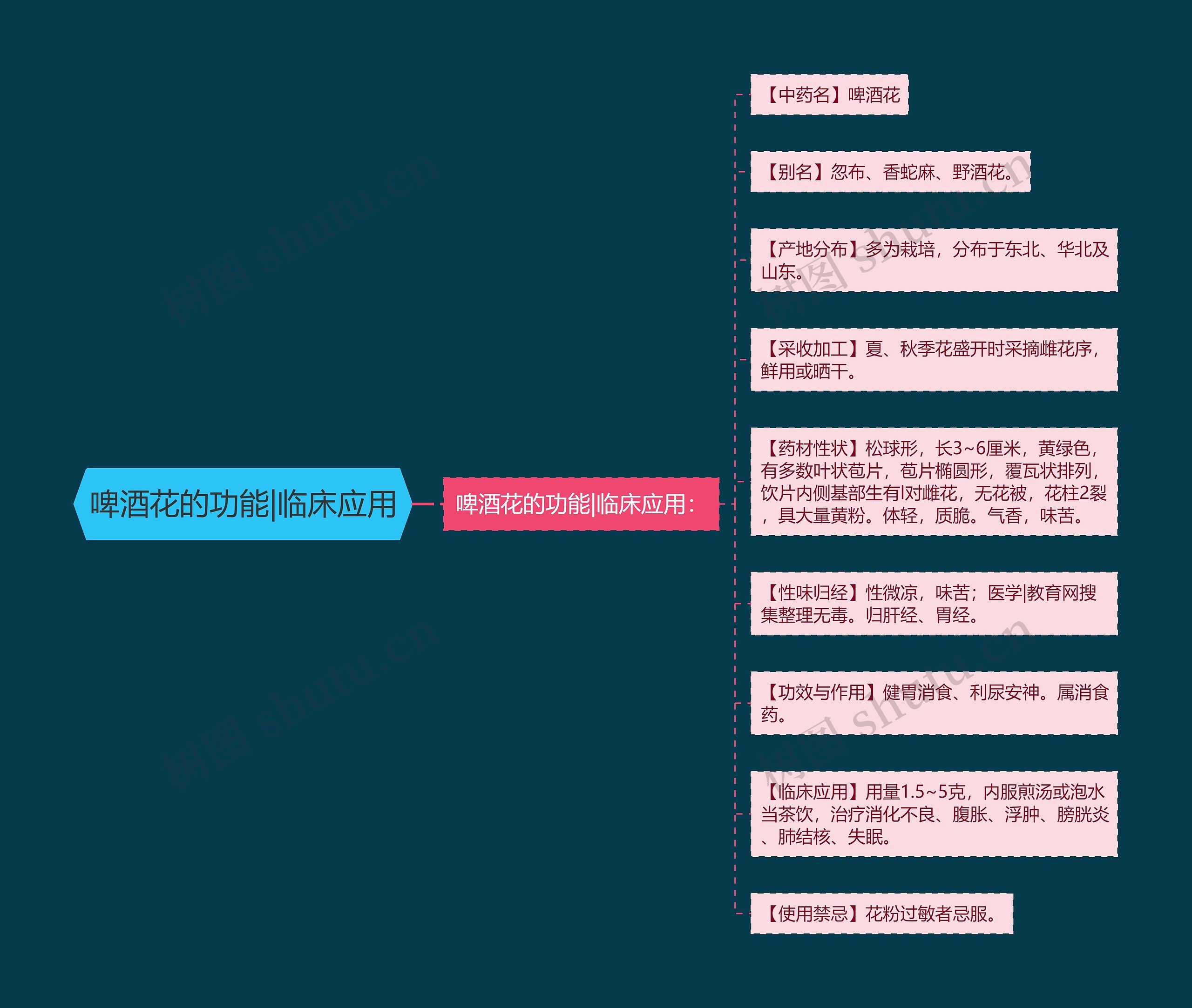 啤酒花的功能|临床应用思维导图