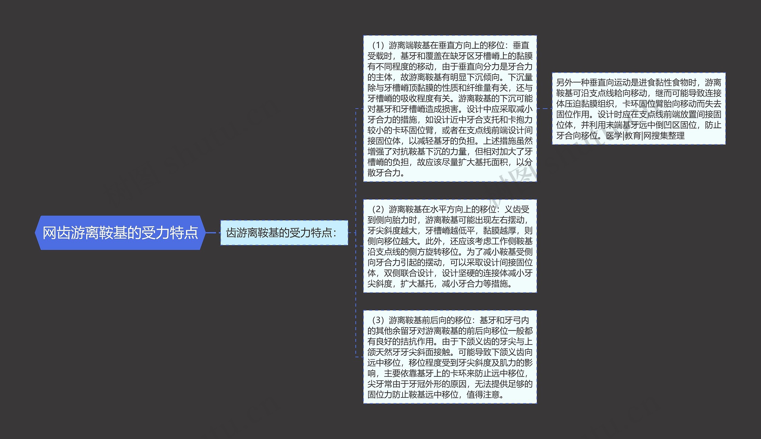 网齿游离鞍基的受力特点思维导图