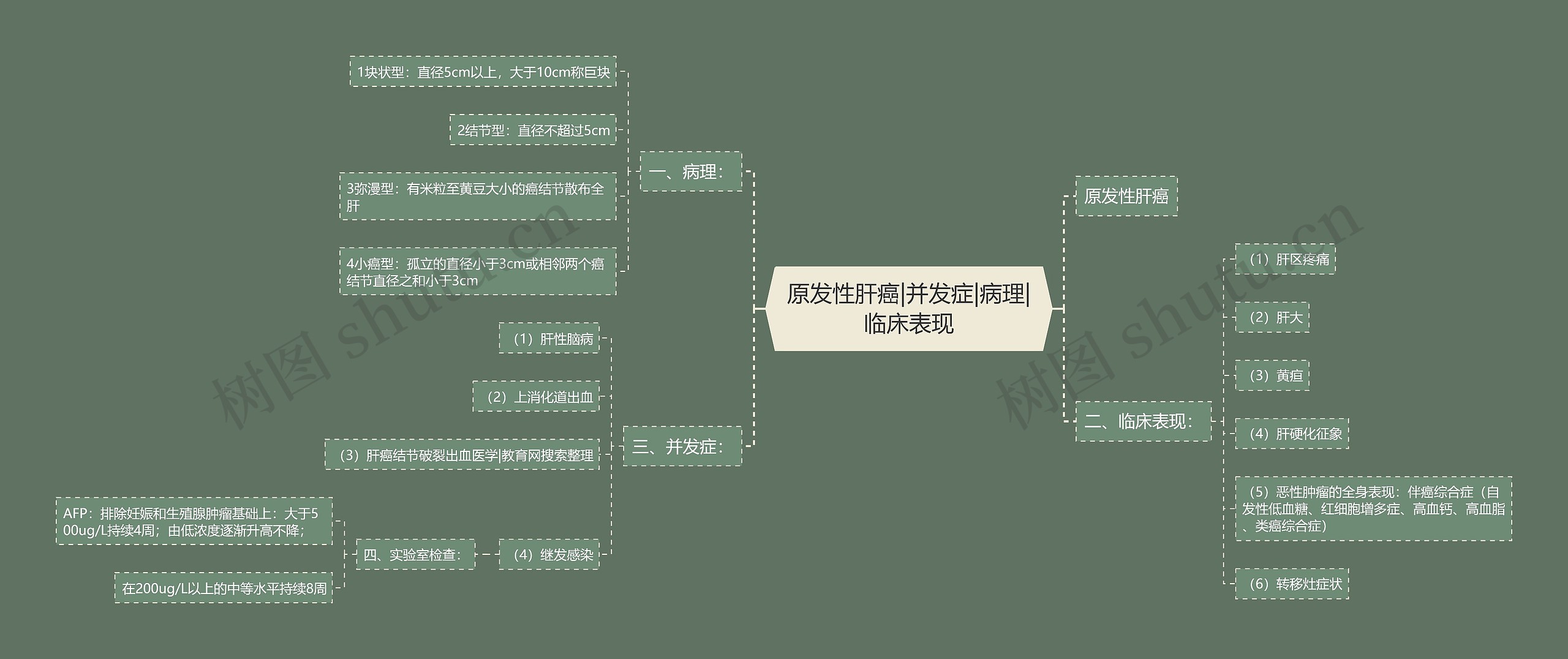 原发性肝癌|并发症|病理|临床表现思维导图