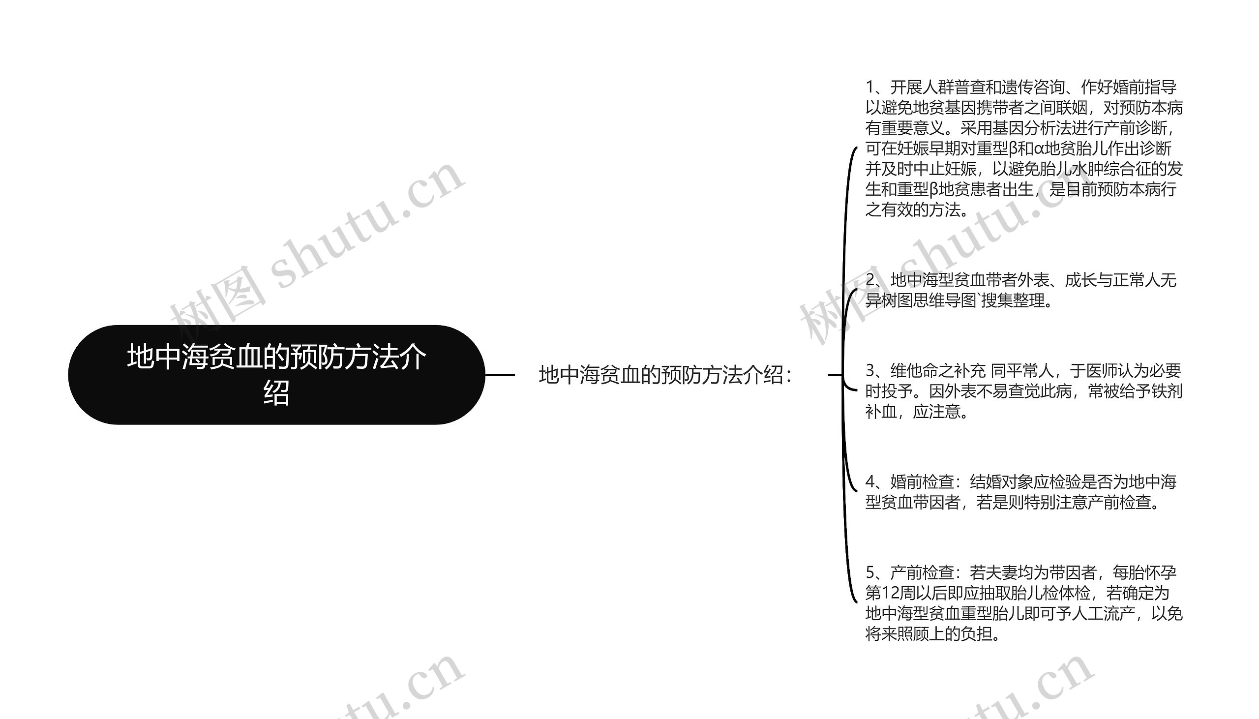 地中海贫血的预防方法介绍思维导图