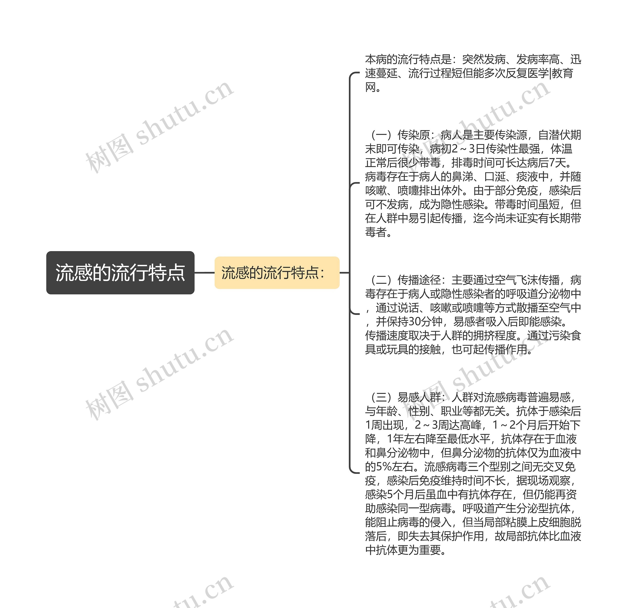 流感的流行特点思维导图