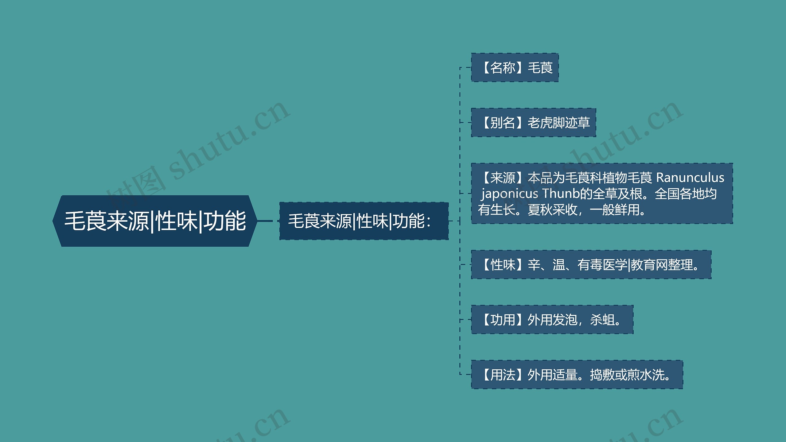 毛莨来源|性味|功能 毛莨来源|性味|功能