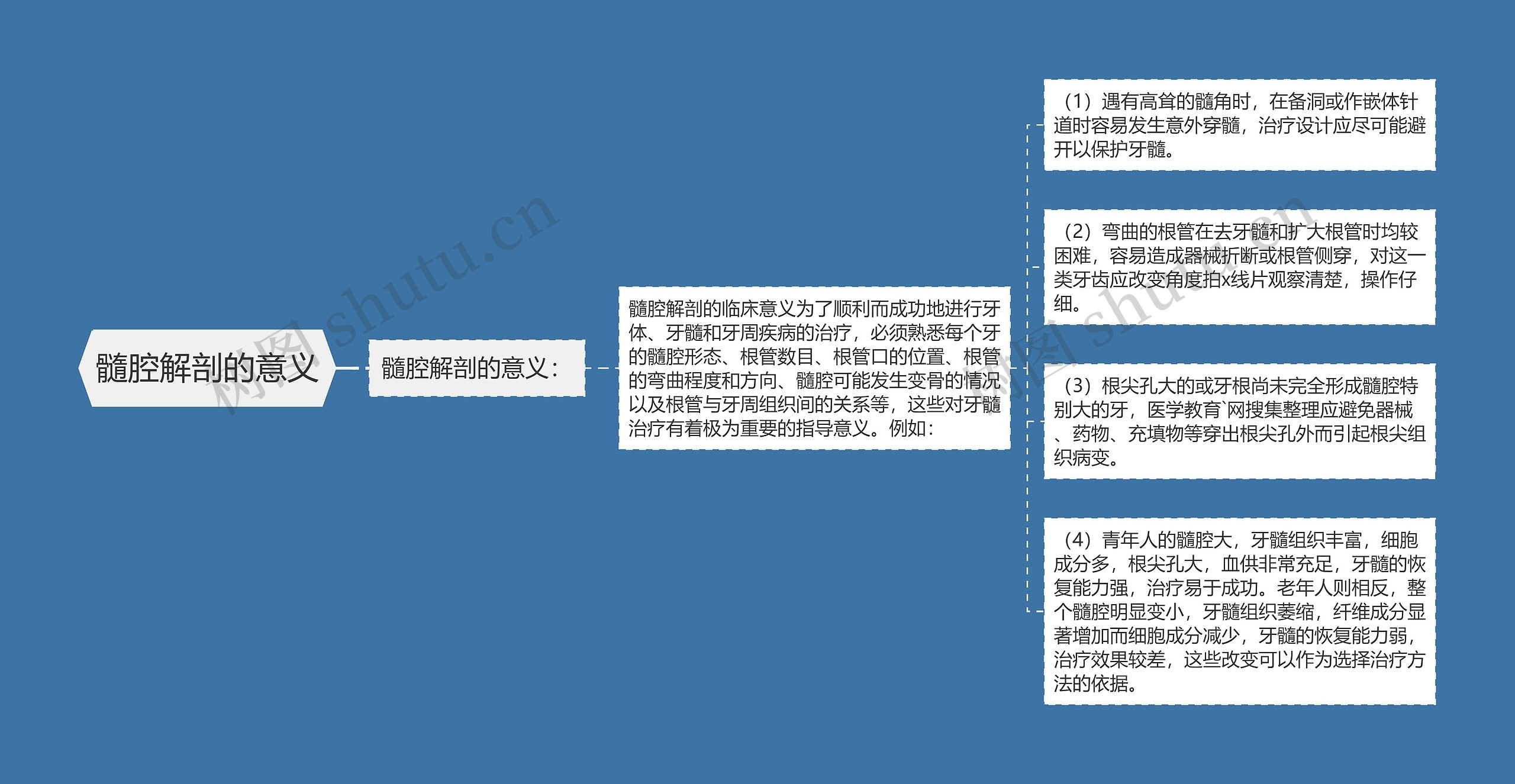 髓腔解剖的意义