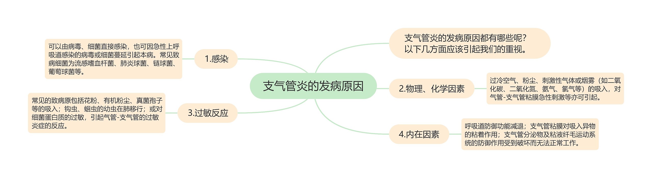 支气管炎的发病原因思维导图