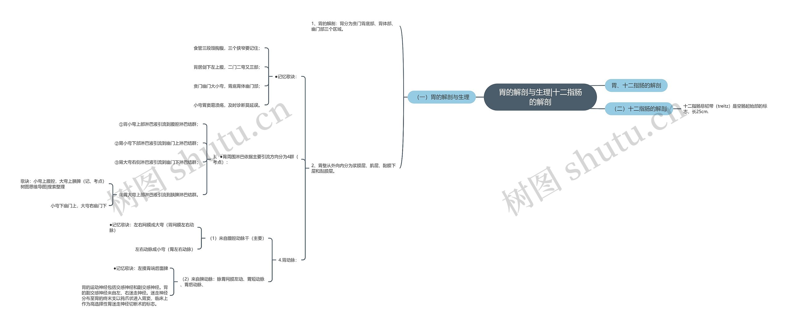 胃的解剖与生理|十二指肠的解剖 胃的解剖与生理|十二指肠的解剖