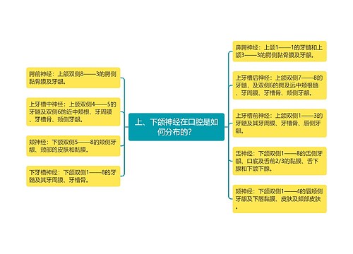 上、下颌神经在口腔是如何分布的？