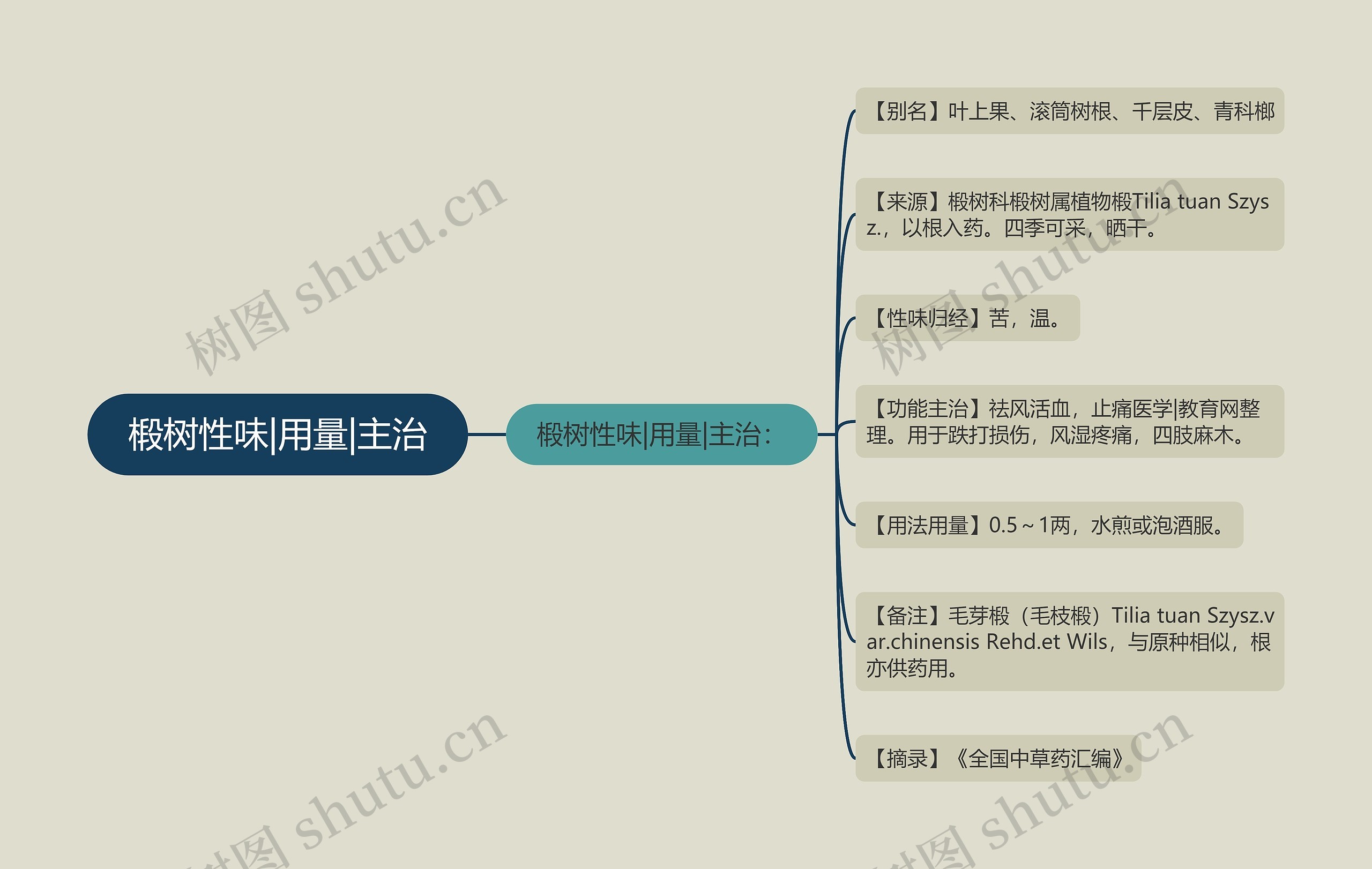 椴树性味|用量|主治思维导图