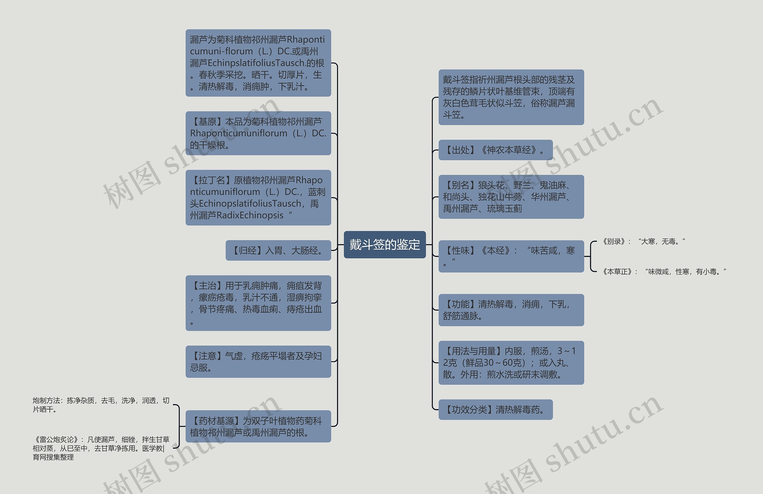 戴斗签的鉴定思维导图