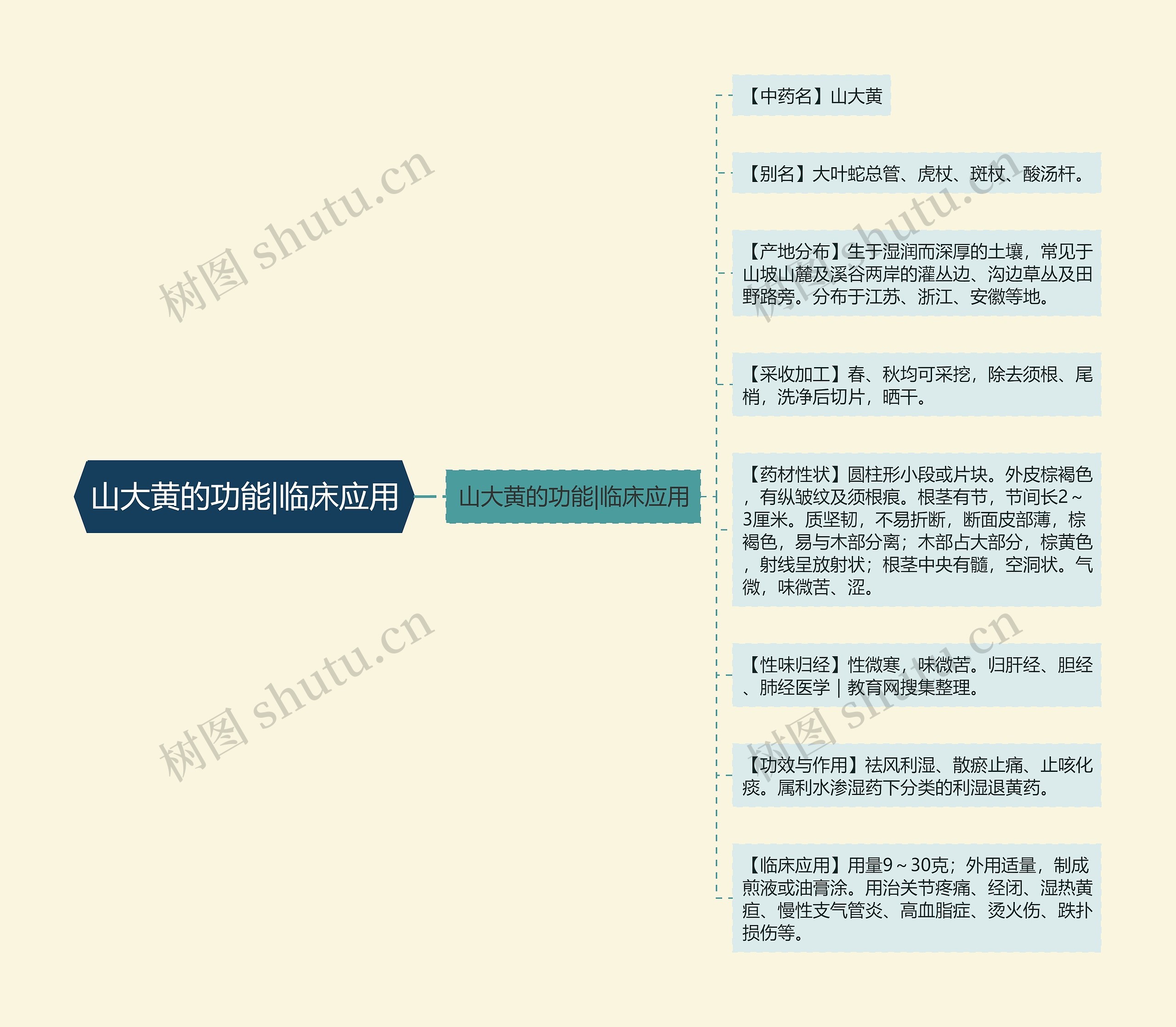 山大黄的功能|临床应用思维导图