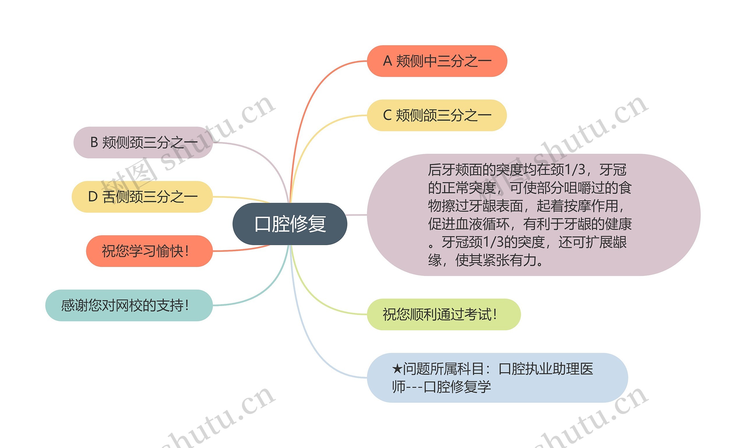 口腔修复