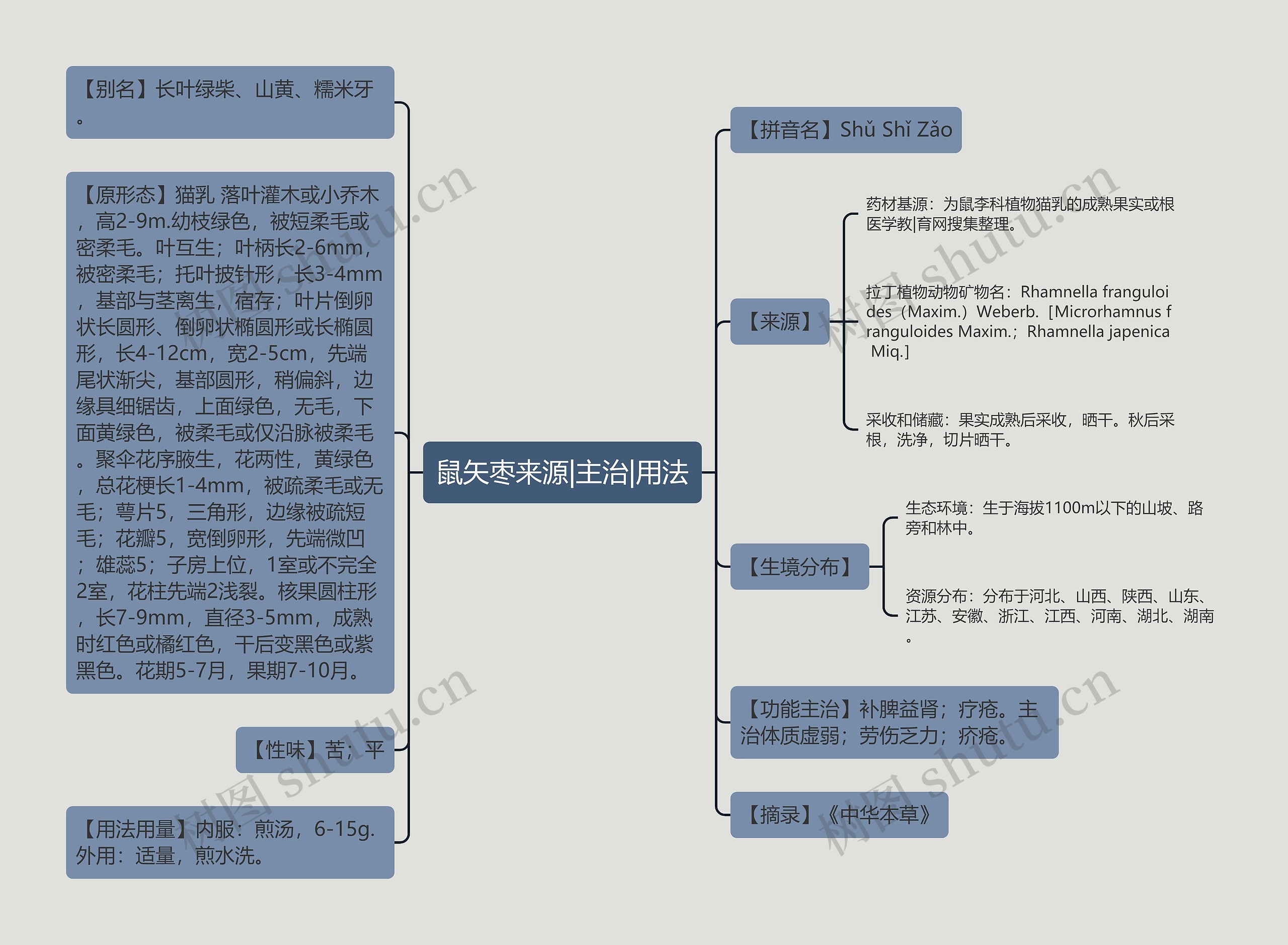 鼠矢枣来源|主治|用法思维导图