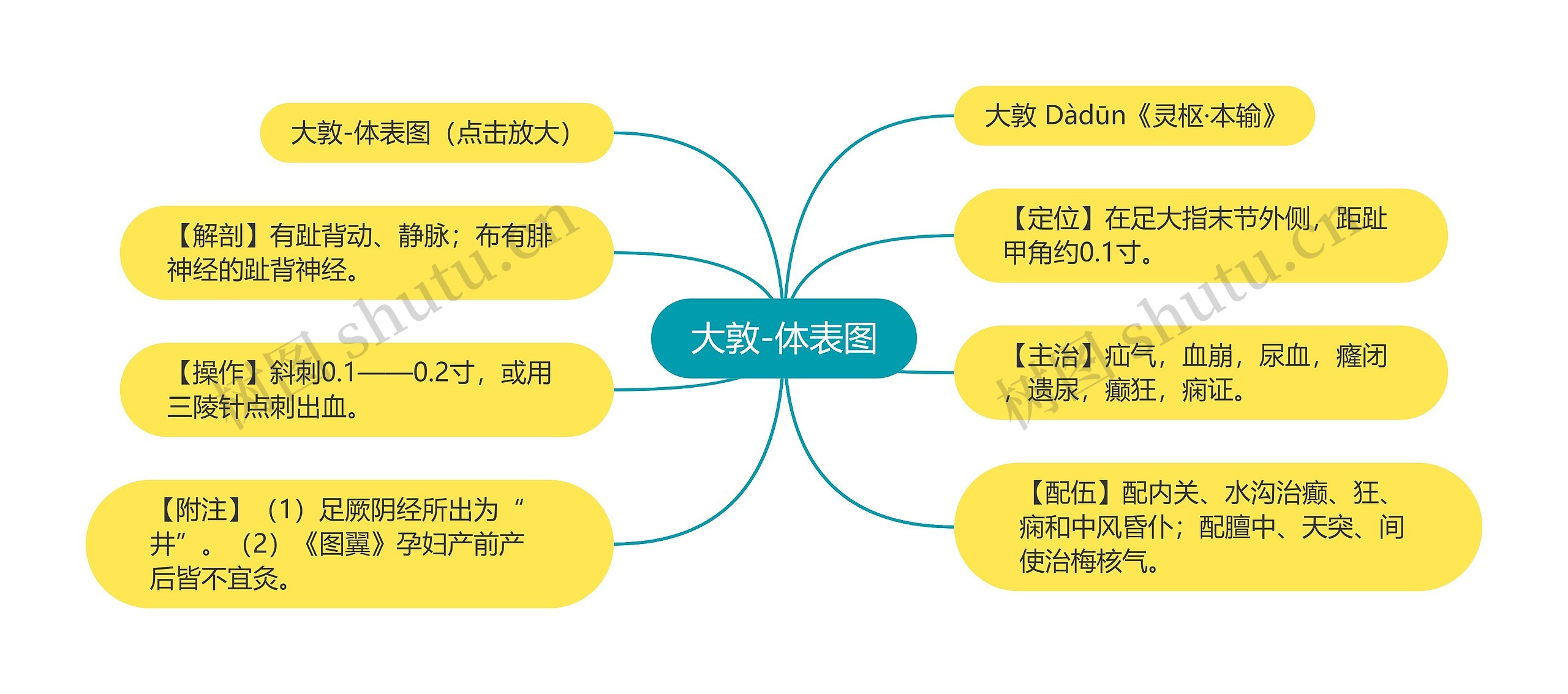 大敦-体表图思维导图