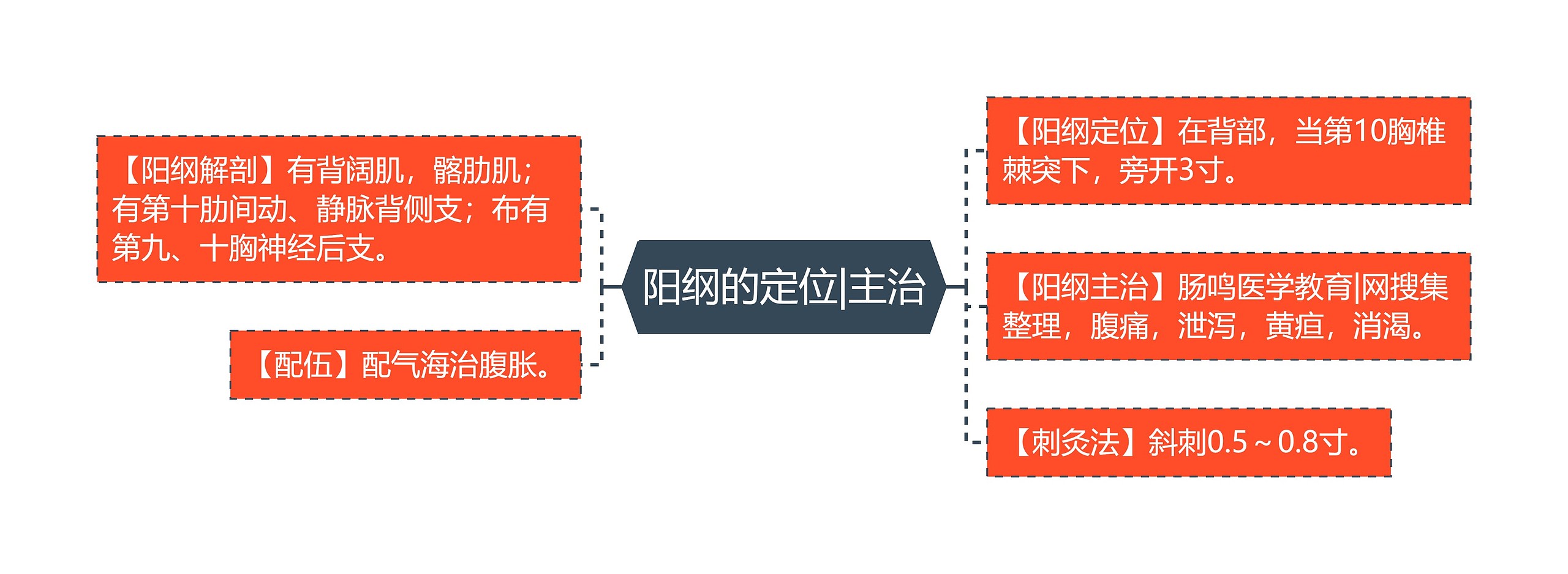 阳纲的定位|主治思维导图