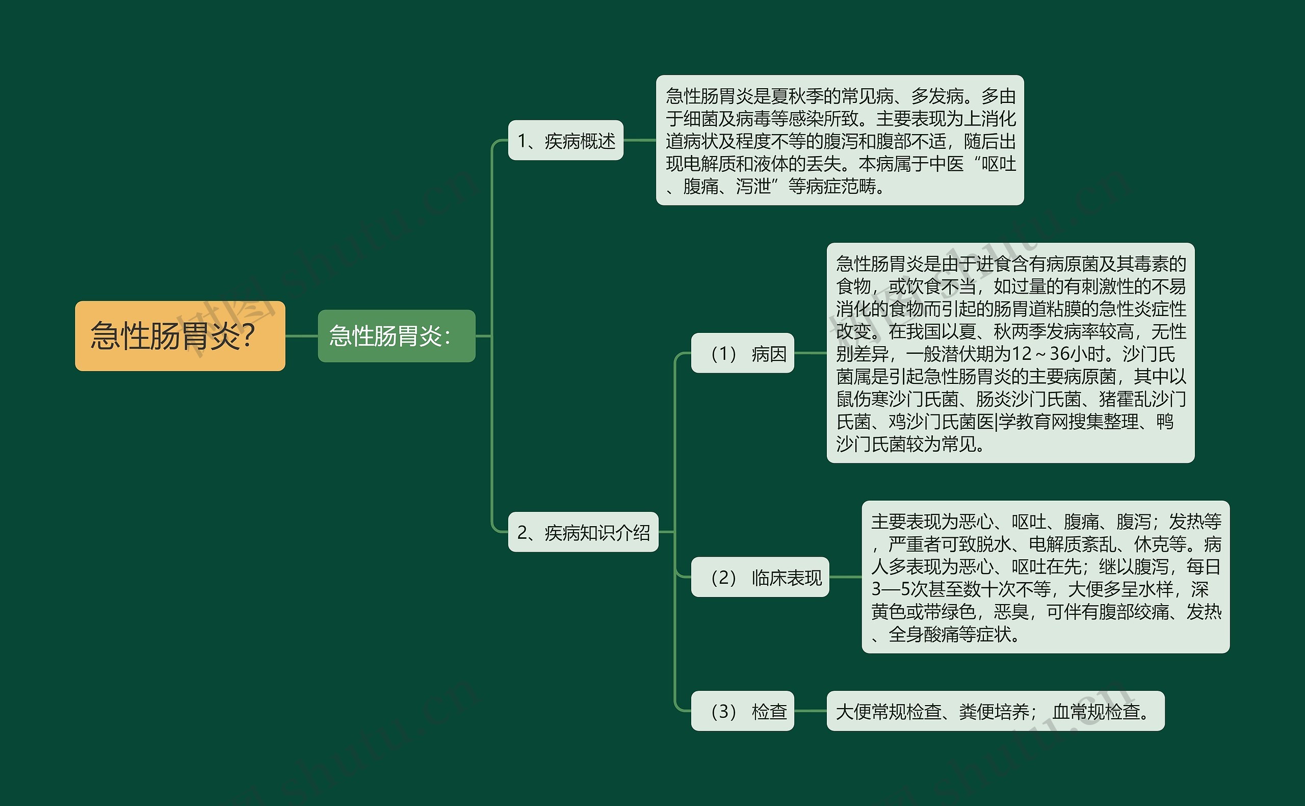 急性肠胃炎？思维导图