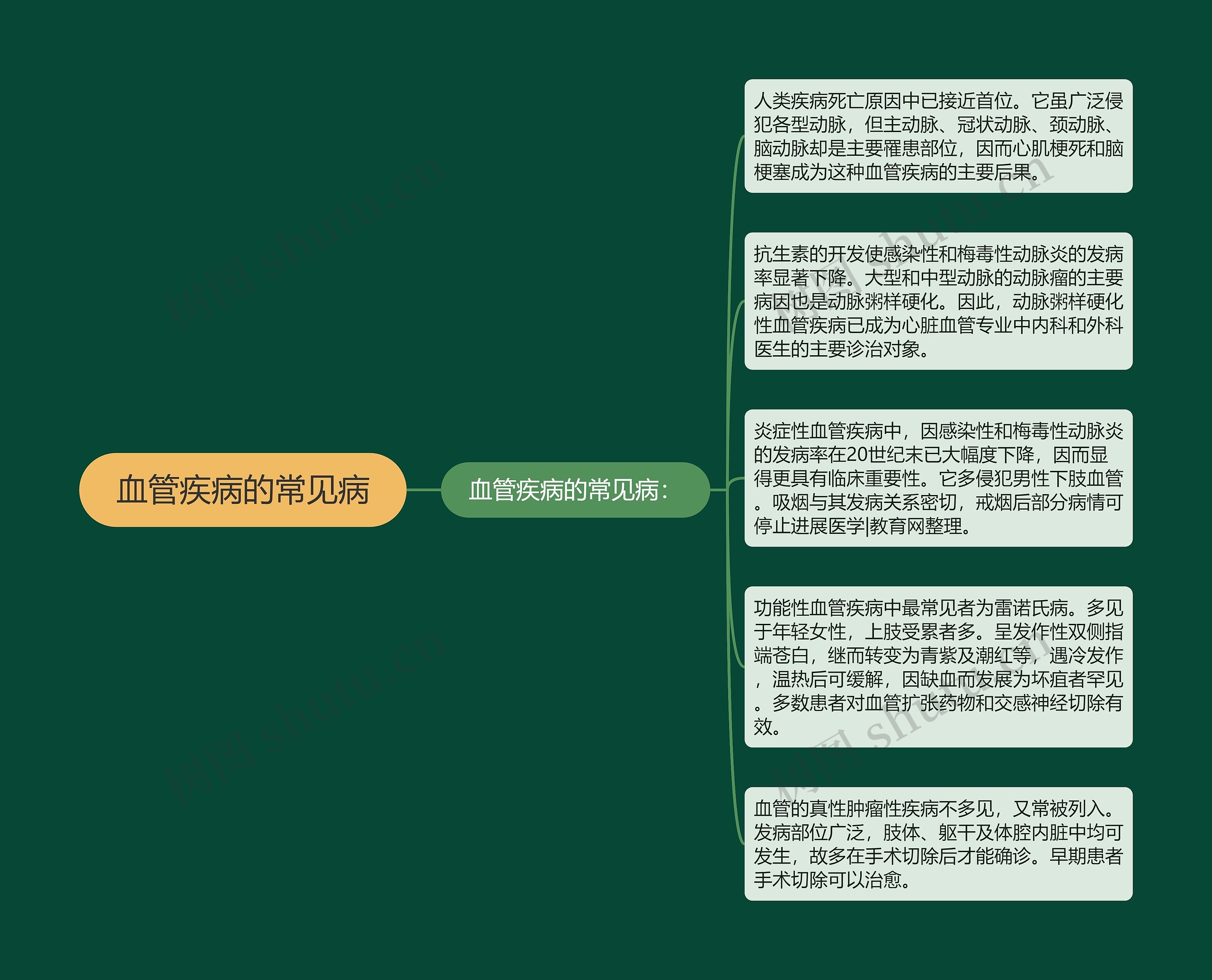 血管疾病的常见病思维导图