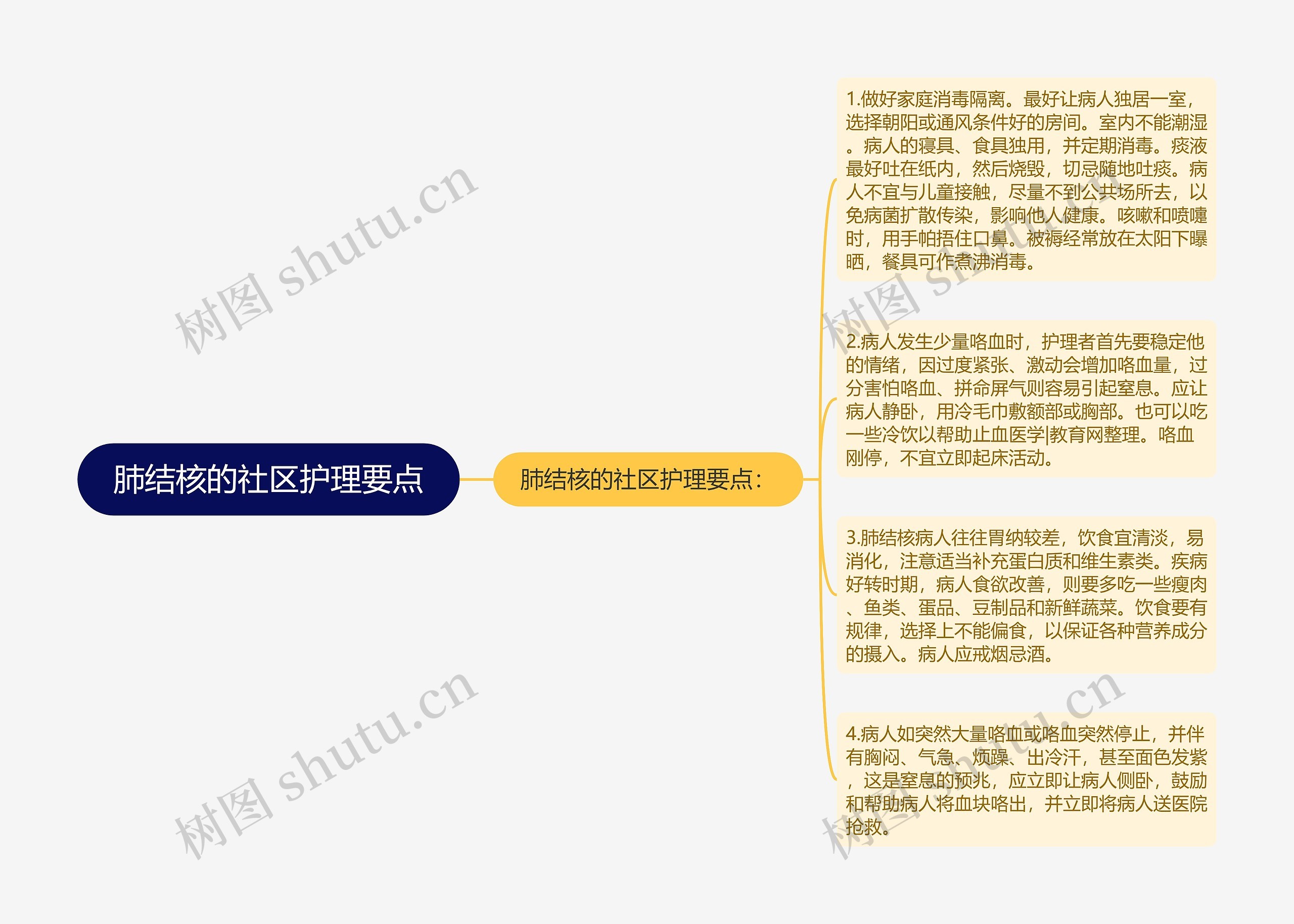 肺结核的社区护理要点思维导图