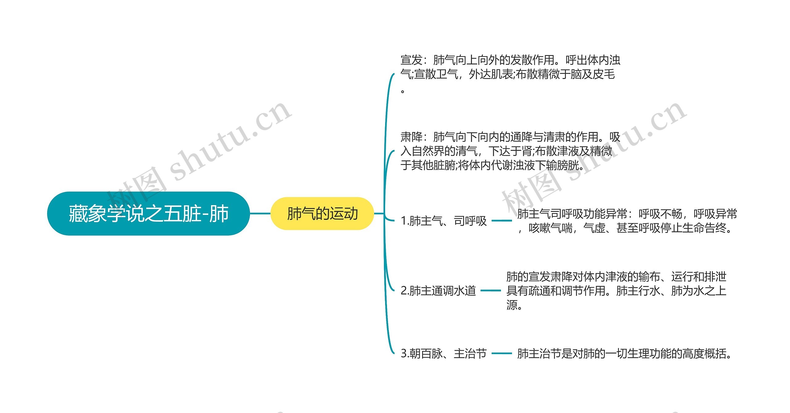 藏象学说之五脏-肺思维导图