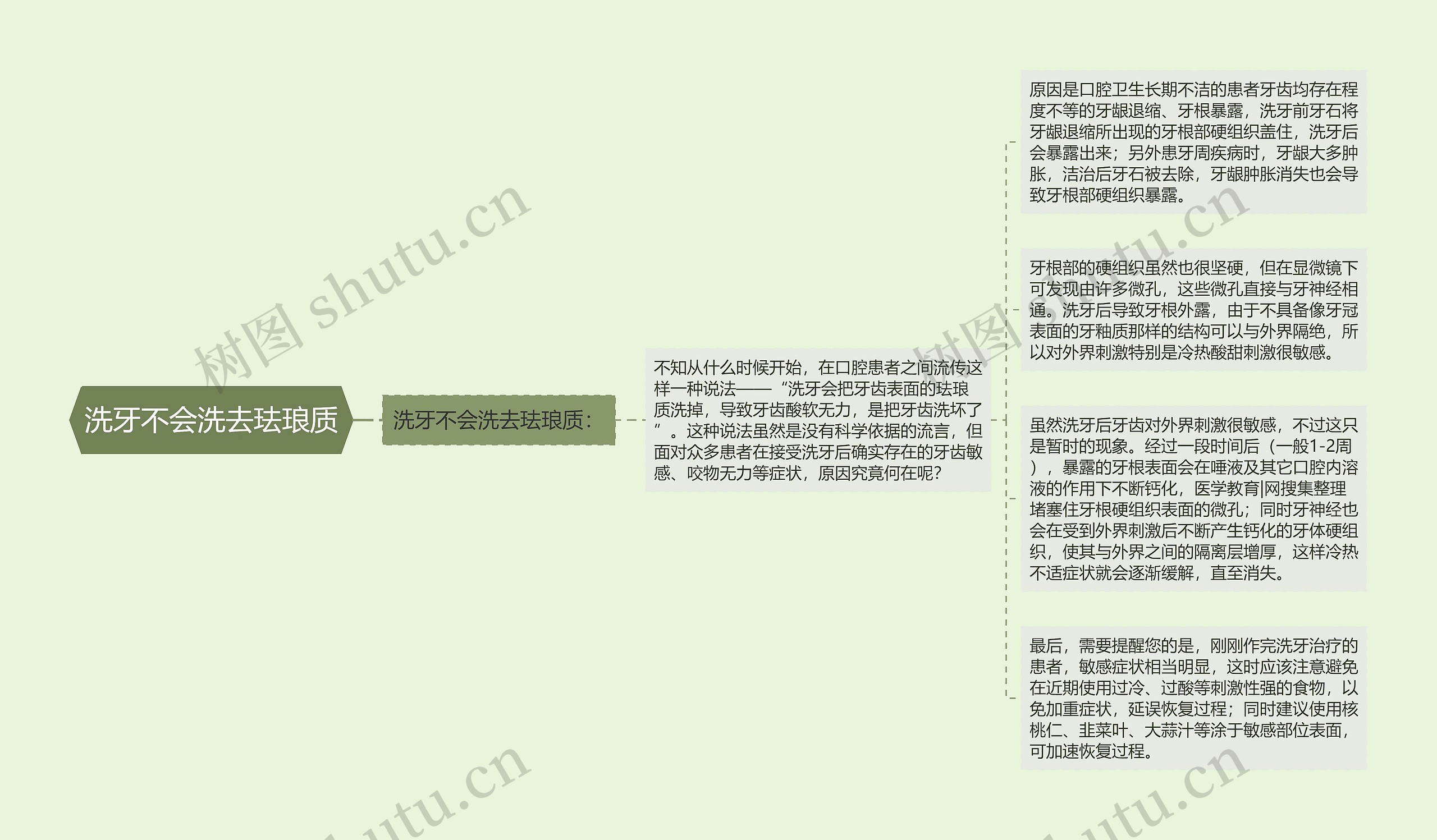 洗牙不会洗去珐琅质思维导图