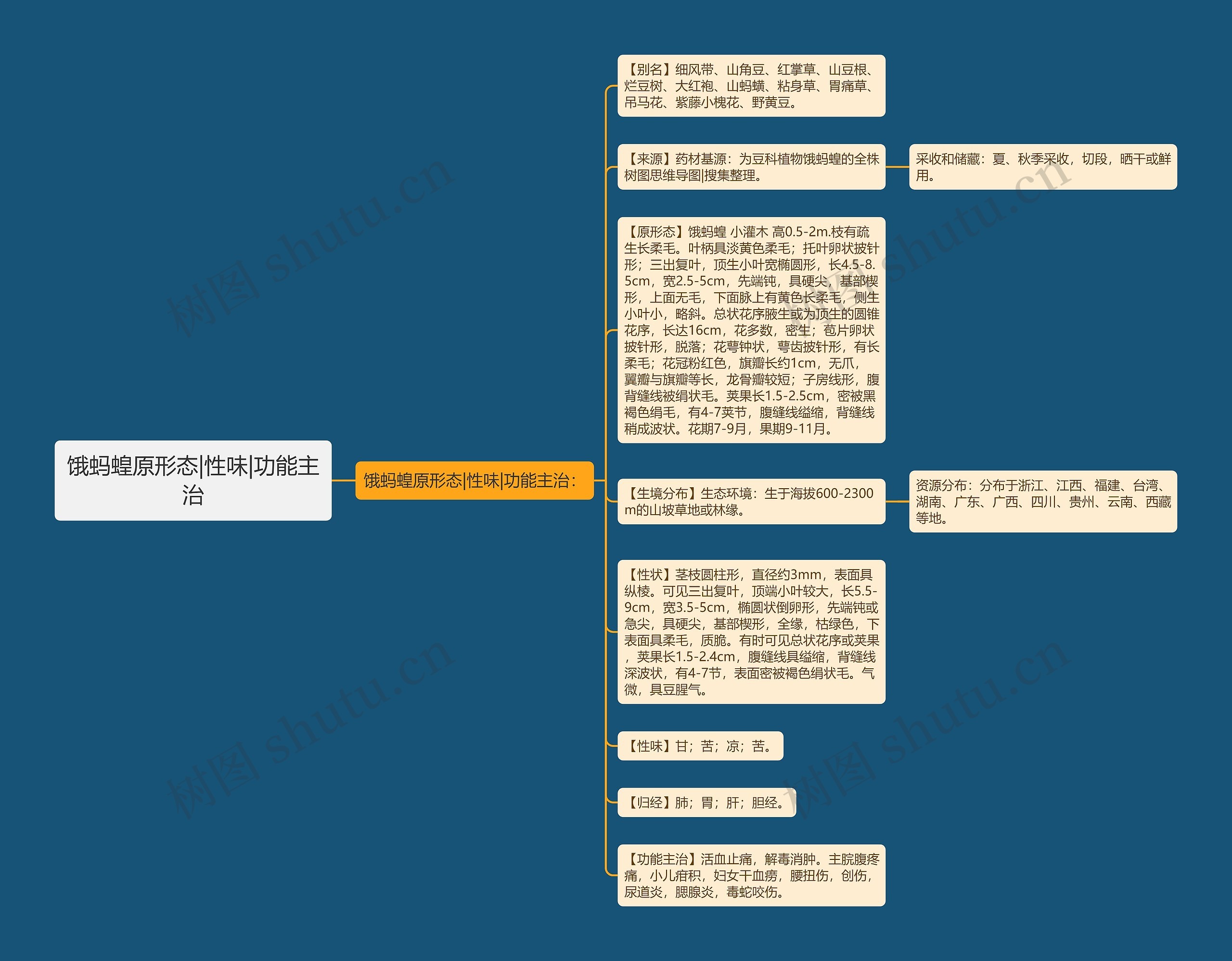 饿蚂蝗原形态|性味|功能主治思维导图