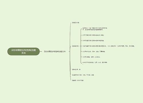 云杉球果的分布|性味|功能主治