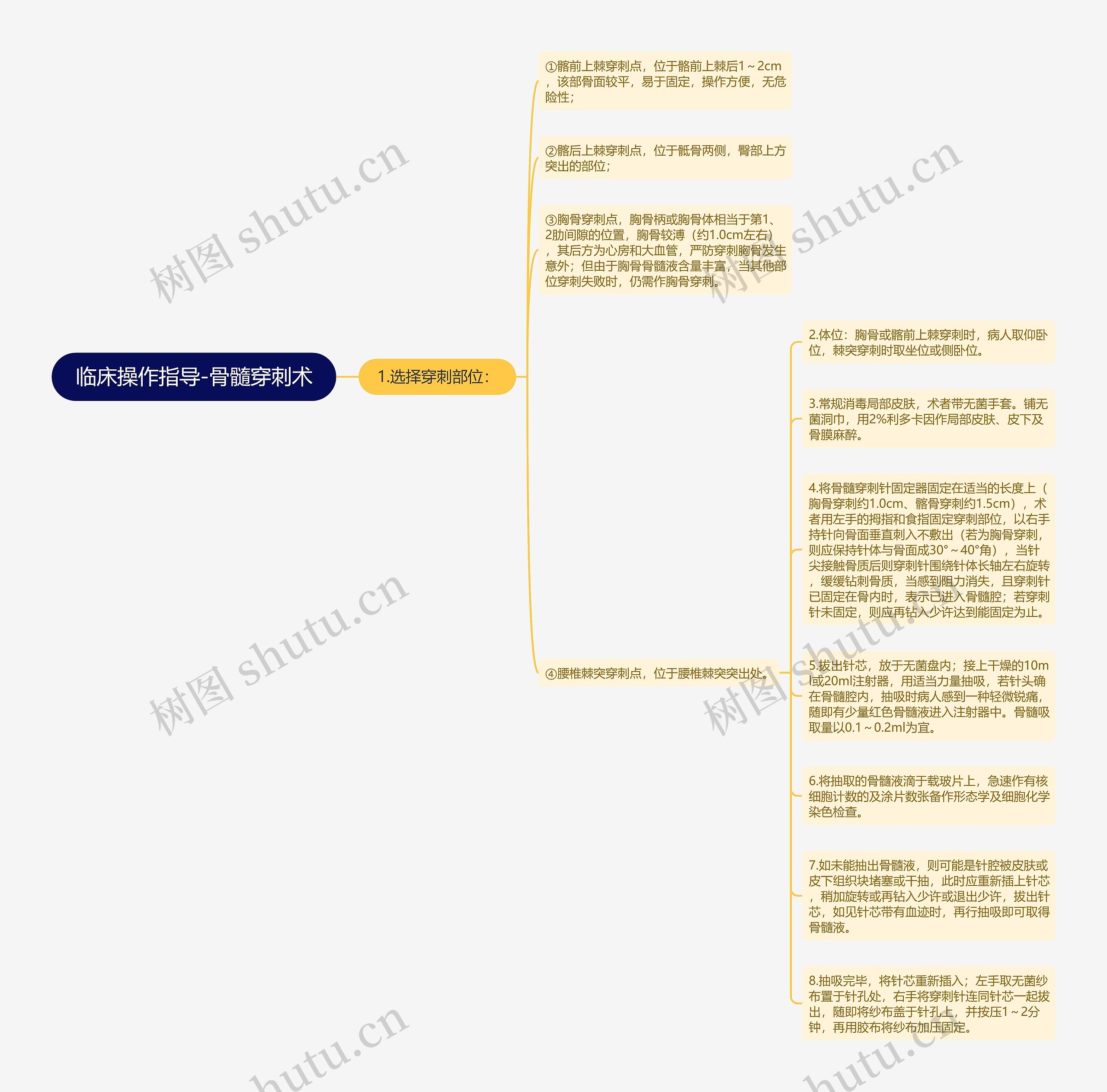 临床操作指导-骨髓穿刺术思维导图
