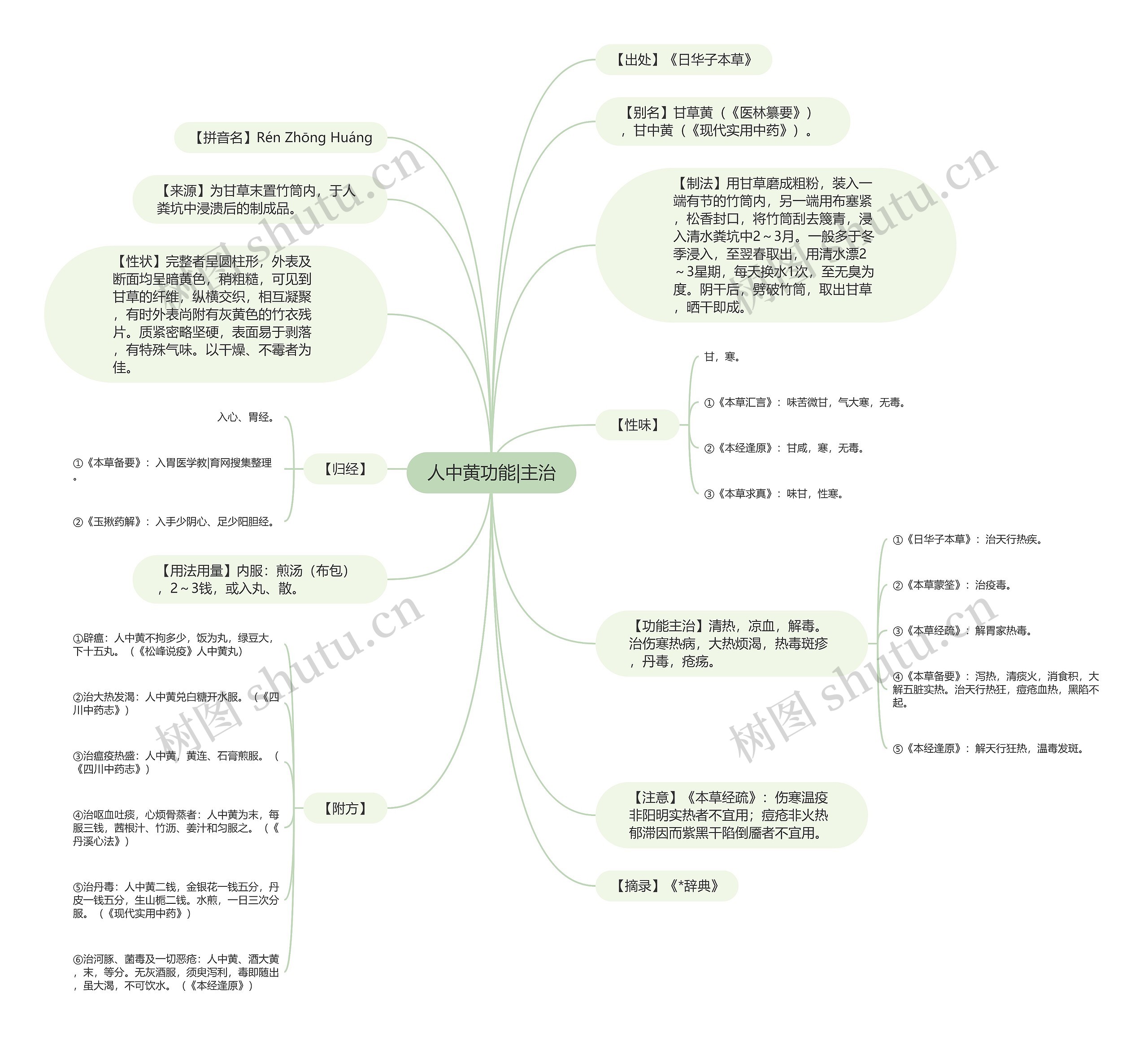 人中黄功能|主治思维导图