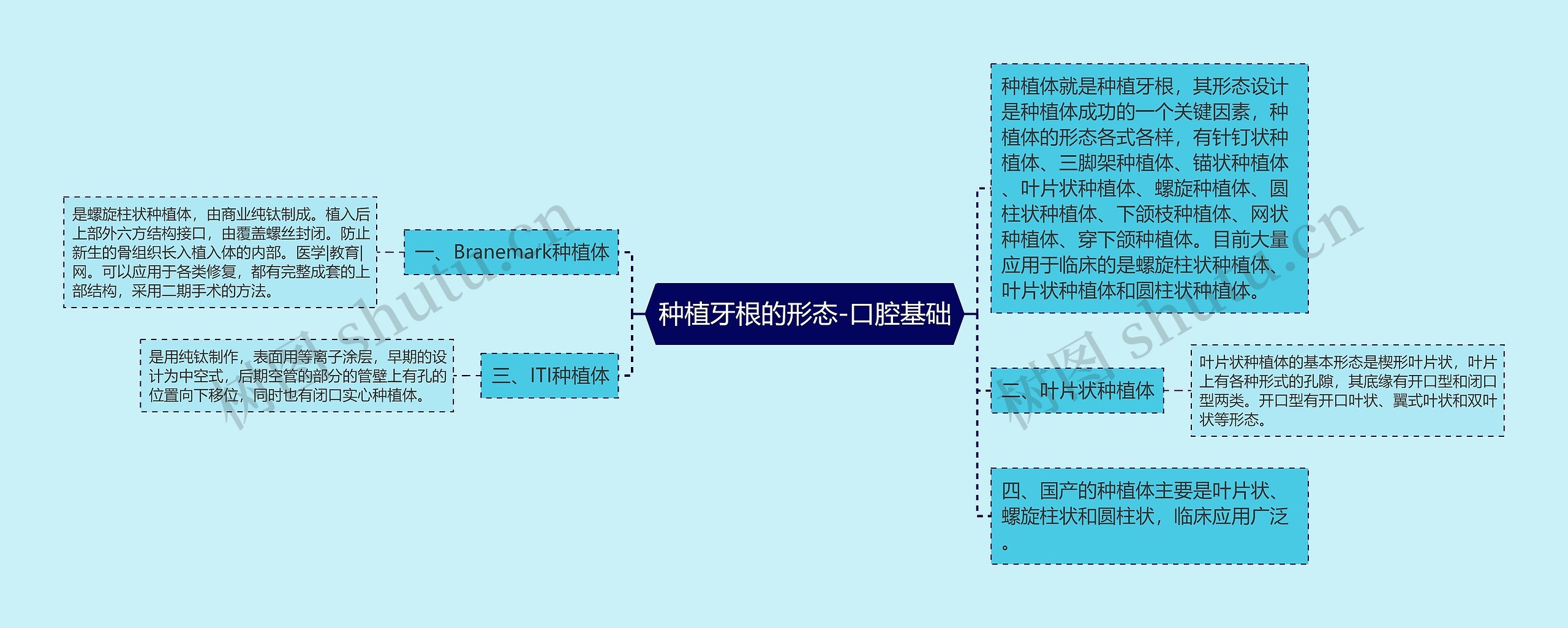 种植牙根的形态-口腔基础 种植牙根的形态-口腔基础