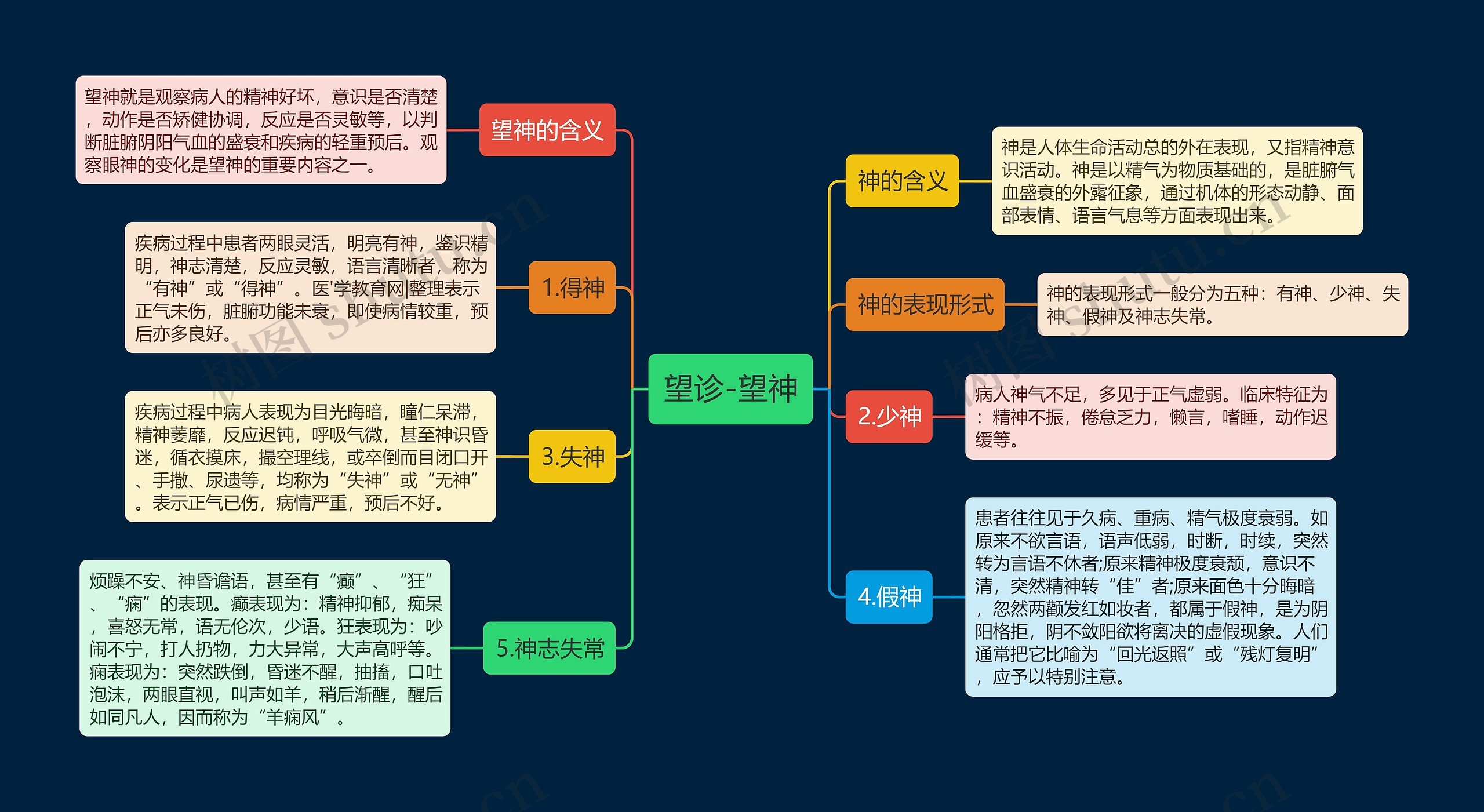 望诊-望神思维导图