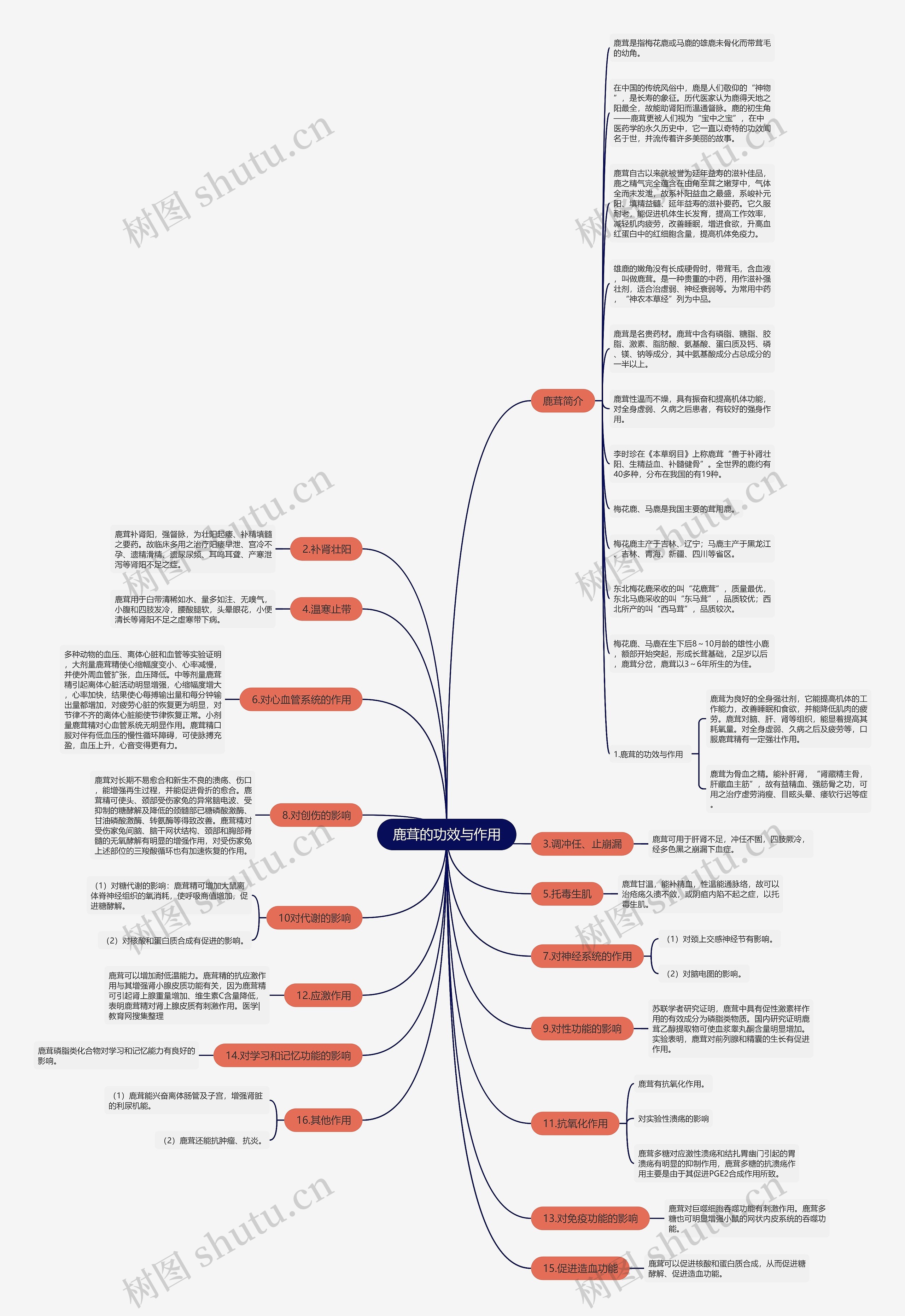 鹿茸的功效与作用思维导图