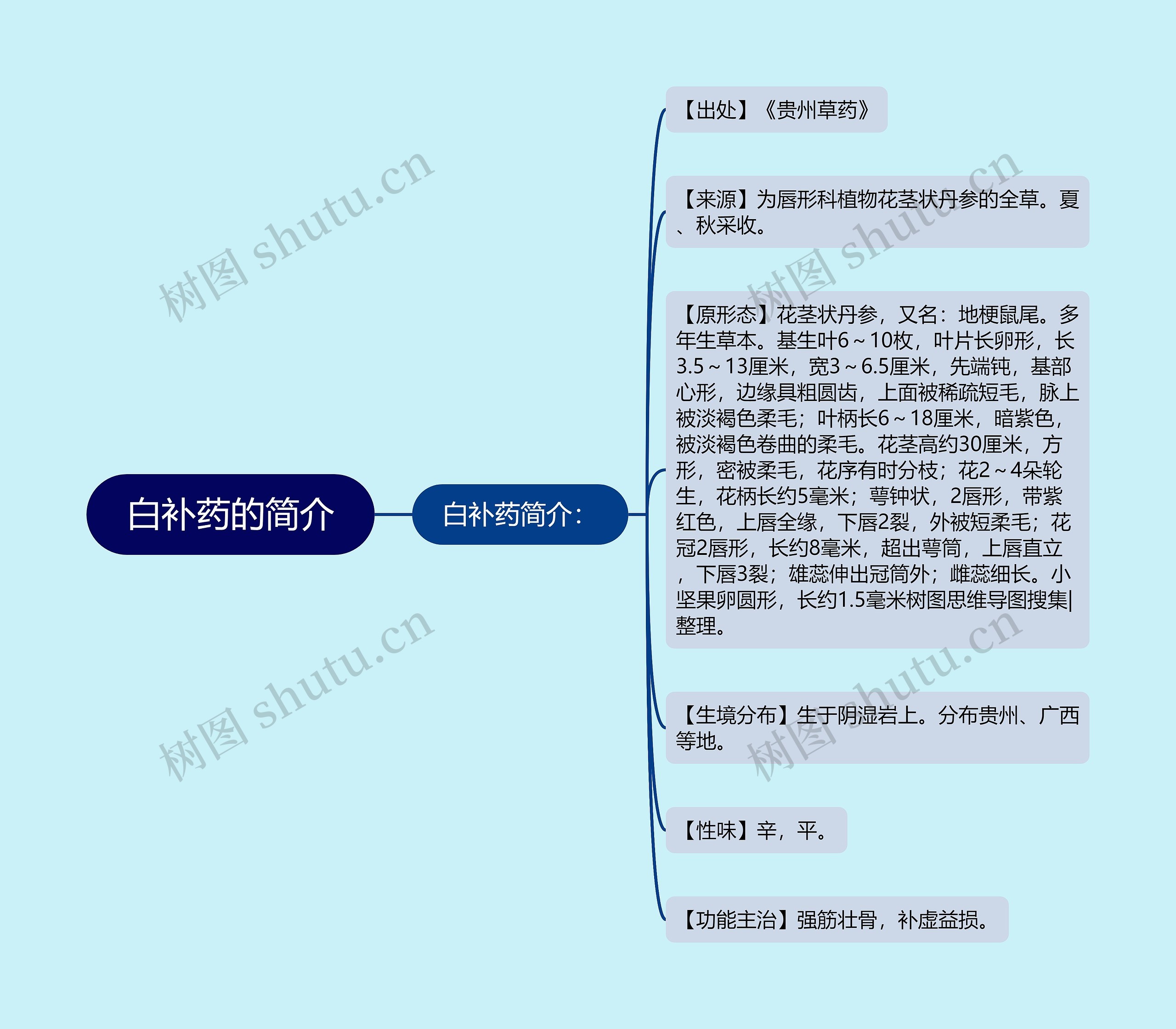 白补药的简介思维导图