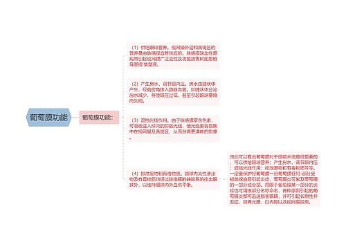 葡萄膜功能