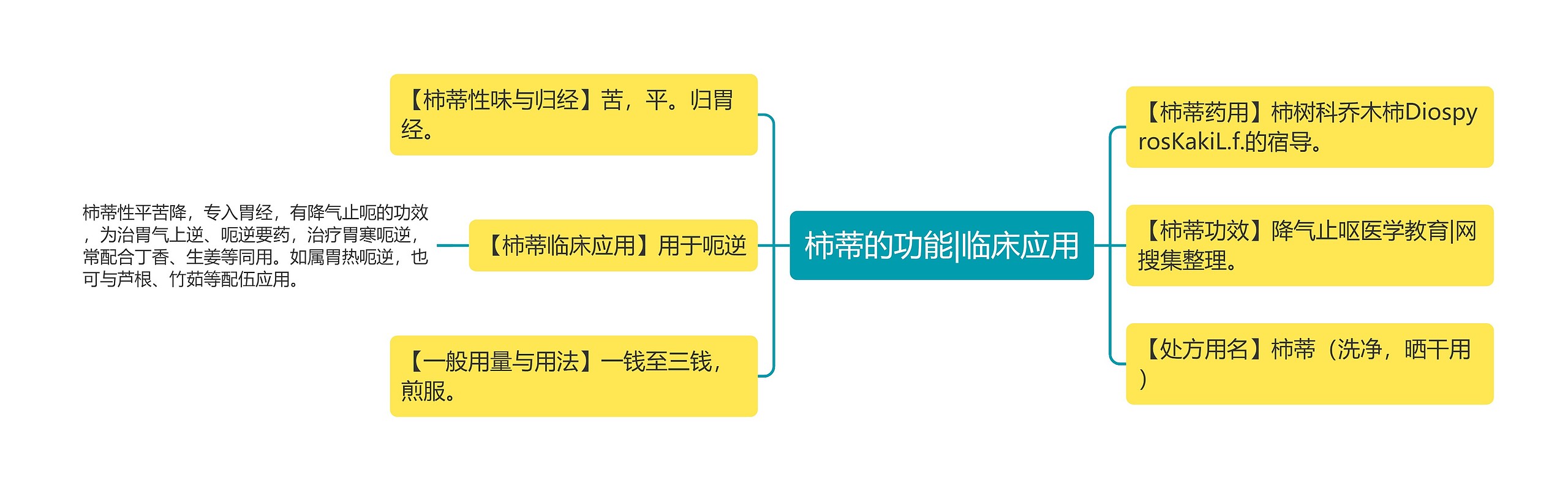 柿蒂的功能|临床应用思维导图