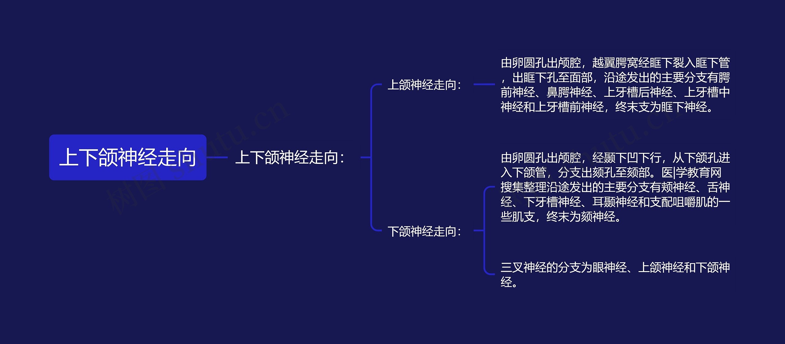 上下颌神经走向思维导图