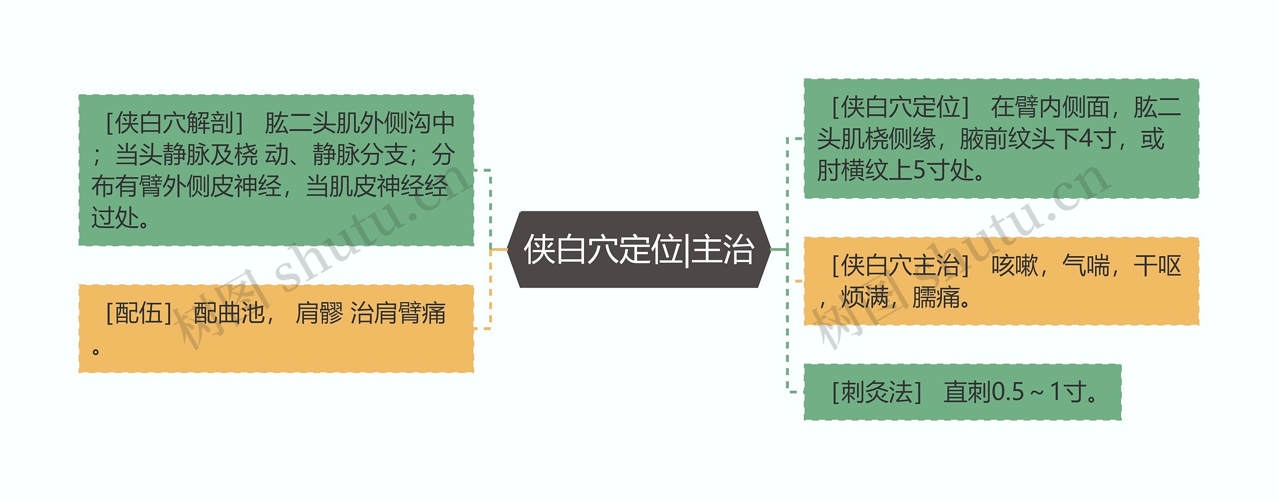 侠白穴定位|主治思维导图