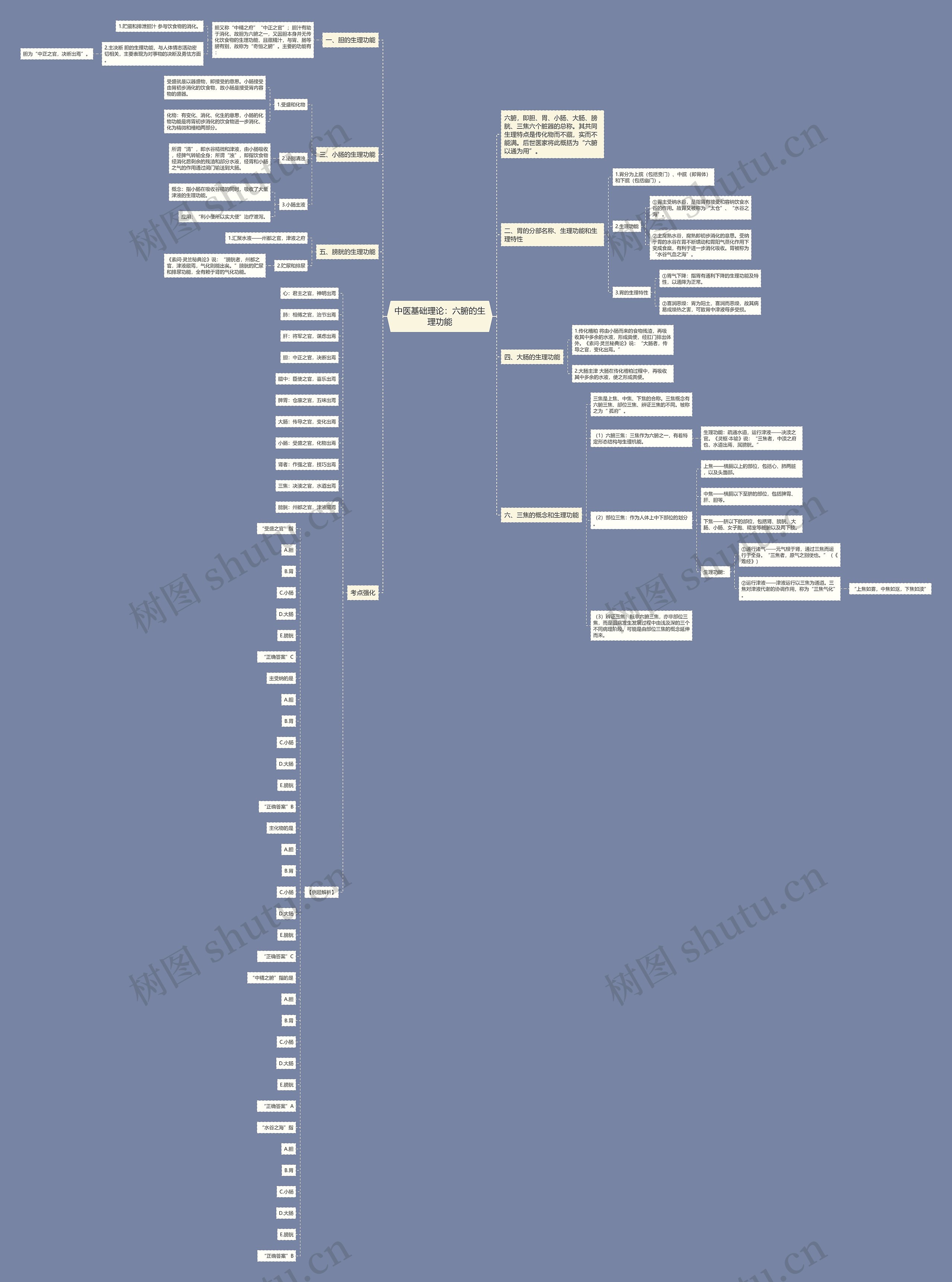 中医基础理论：六腑的生理功能思维导图