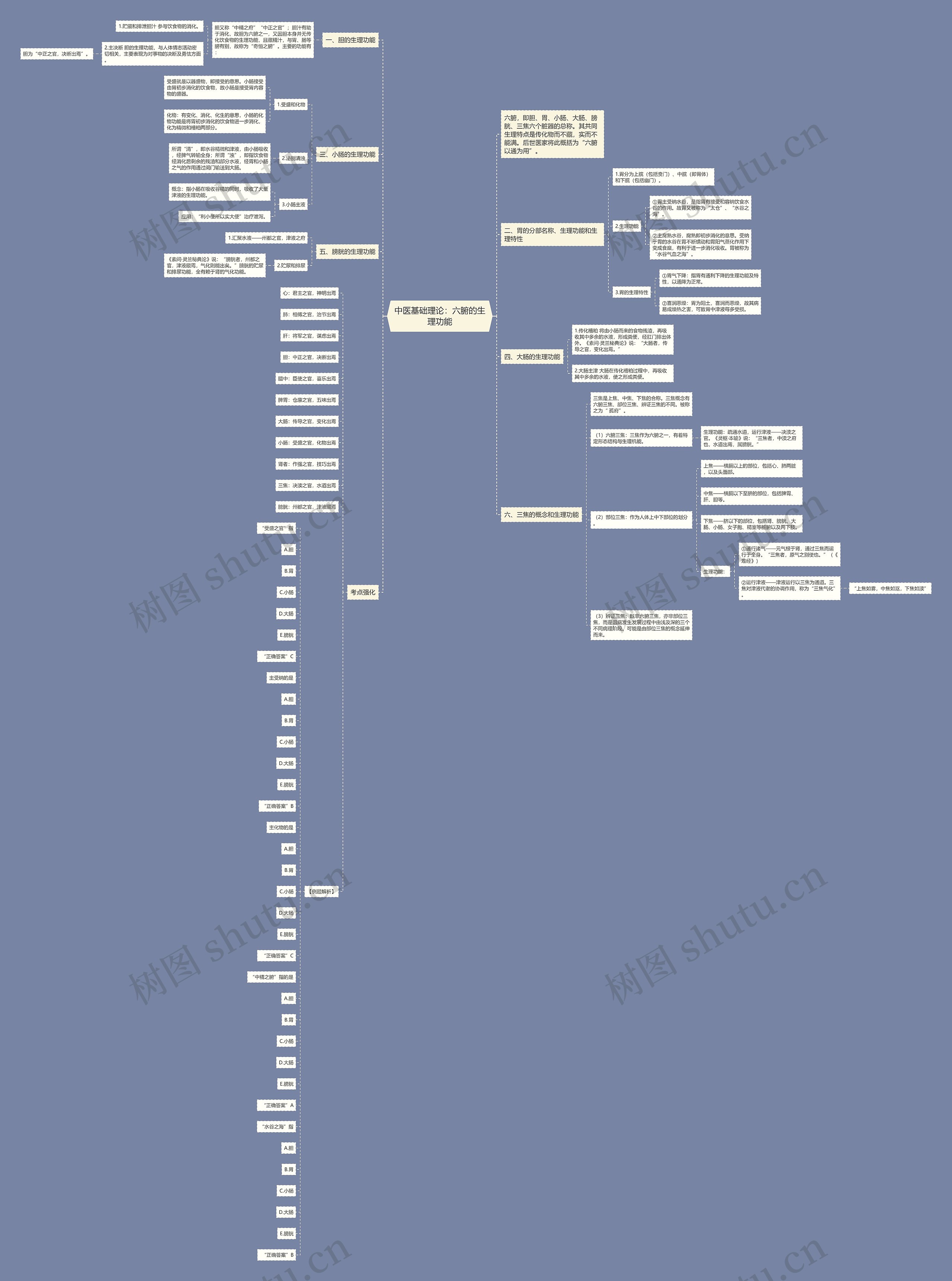 中医基础理论:六腑的生理功能 中医基础理论:六腑的生理功能