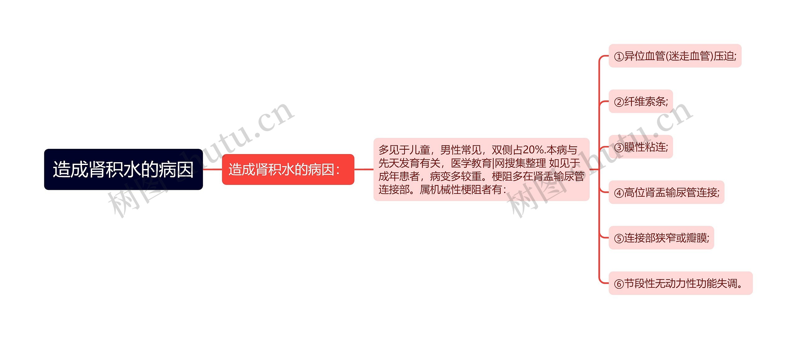 造成肾积水的病因