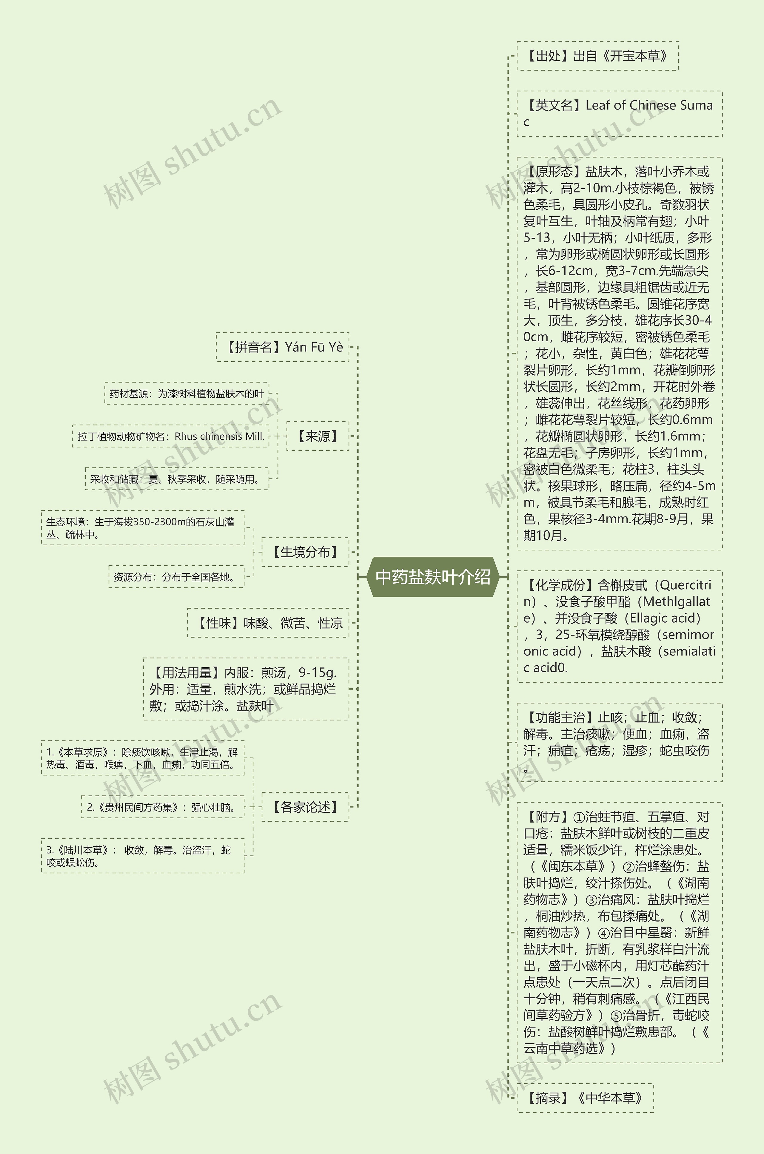 中药盐麸叶介绍思维导图